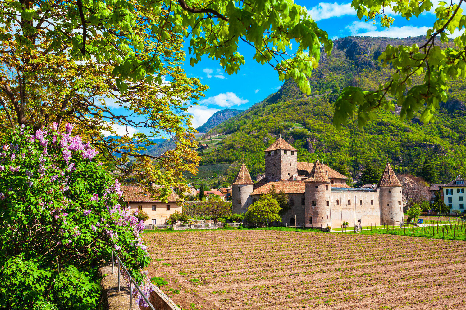 Cosa vedere a Bolzano: Tra Natura, Storia e Buon Cibo - 2026 - 11 - cosa vedere a bolzano,cosa fare a bolzano,visitare bolzano cosa vedere a bolzano,cosa fare a bolzano,visitare bolzano - Cosa vedere a Bolzano: Tra Natura, Storia e Buon Cibo - 2026 - 10