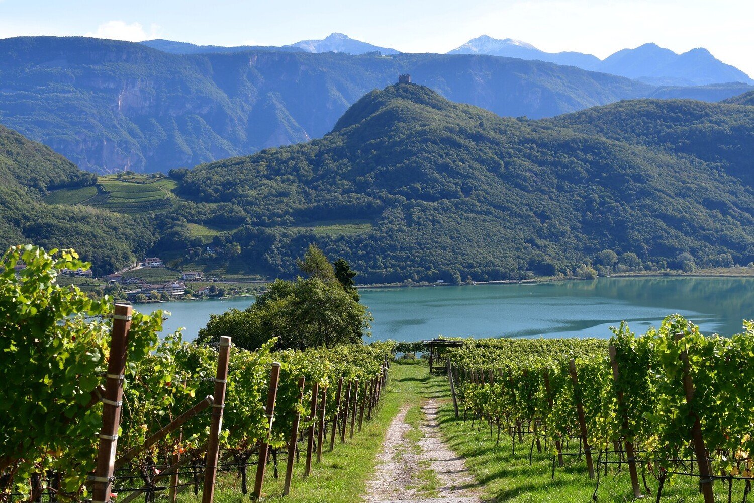 Cosa vedere a Bolzano: Tra Natura, Storia e Buon Cibo - 2026 - 25 - cosa vedere a bolzano,cosa fare a bolzano,visitare bolzano cosa vedere a bolzano,cosa fare a bolzano,visitare bolzano - Cosa vedere a Bolzano: Tra Natura, Storia e Buon Cibo - 2026 - 24