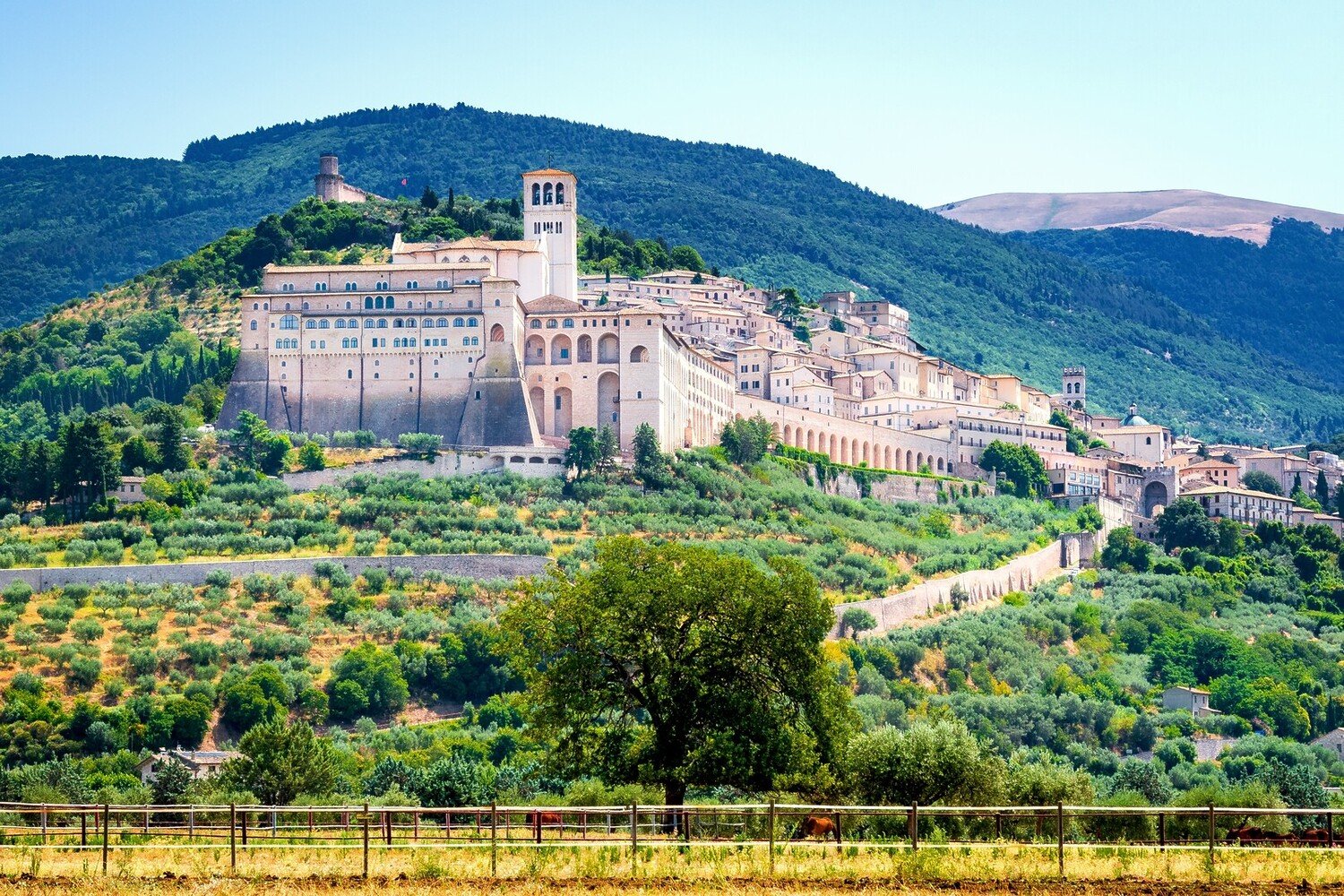 Cosa vedere ad Assisi: tra Arte, Cultura e Vino - 2026 - 4 - cosa vedere ad assisi, visitare assisi cosa vedere ad assisi, visitare assisi - Cosa vedere ad Assisi: tra Arte, Cultura e Vino - 2026 - 3