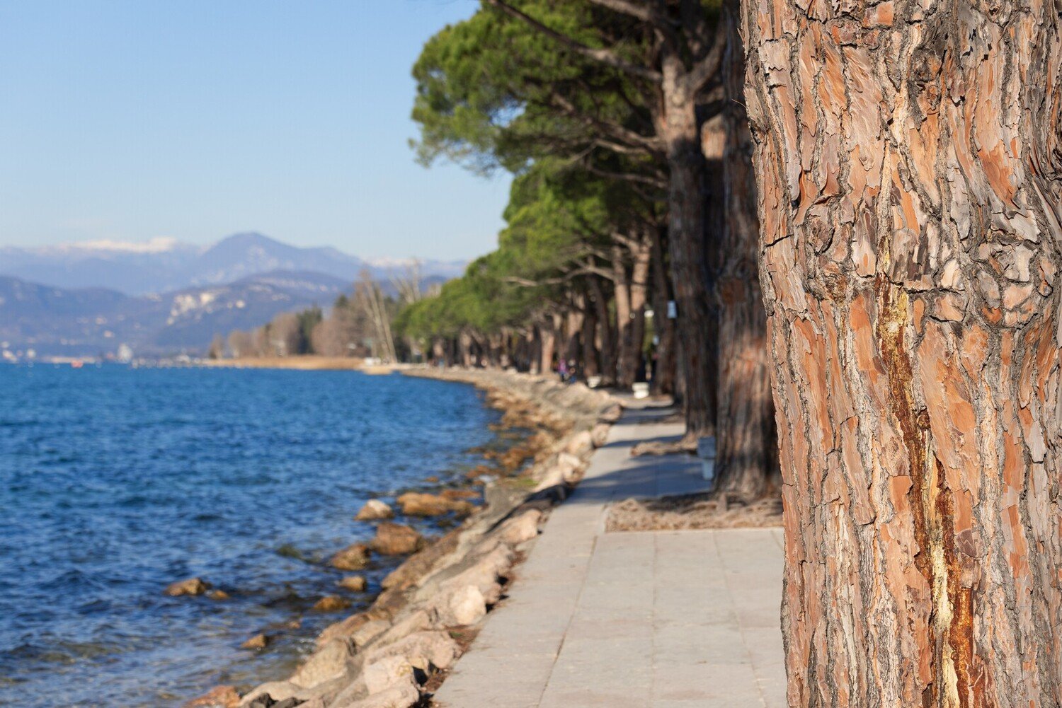 Cosa vedere sul Lago di Garda: Guida al weekend perfetto - 2026 - 24 - cosa vedere sul lago di garda,cosa fare al lago di garda,visitare il lago di garda cosa vedere sul lago di garda,cosa fare al lago di garda,visitare il lago di garda - Cosa vedere sul Lago di Garda: Guida al weekend perfetto - 2026 - 23