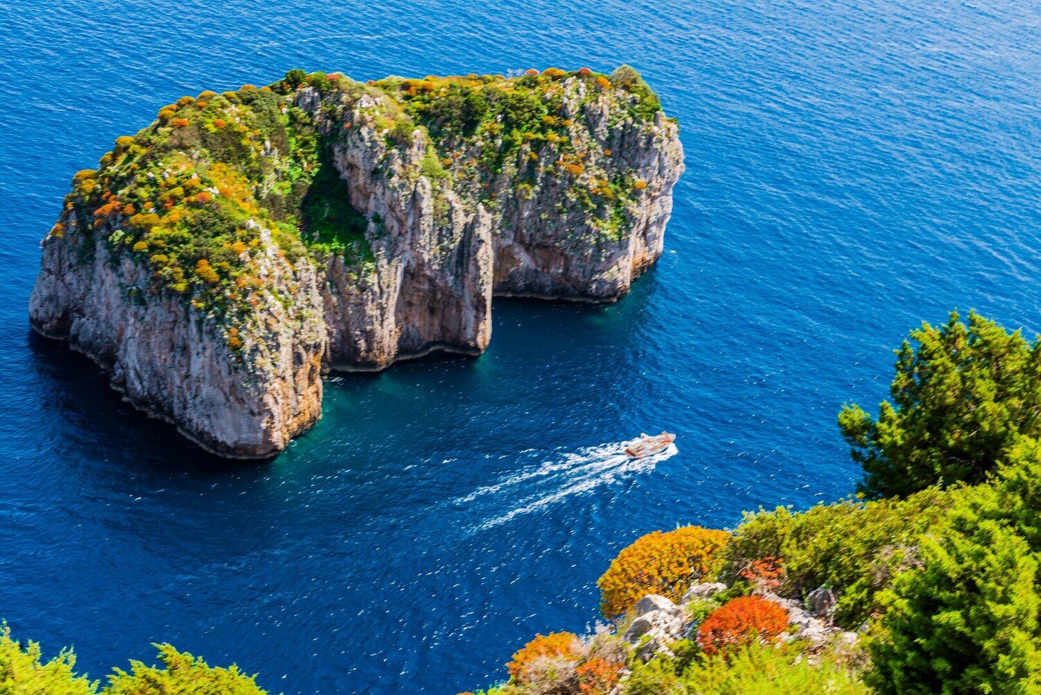Cosa vedere a Sorrento: Luoghi da Non Perdere - 2026 - 9 - cosa vedere a sorrento,cosa fare a sorrento,visitare sorrento cosa vedere a sorrento