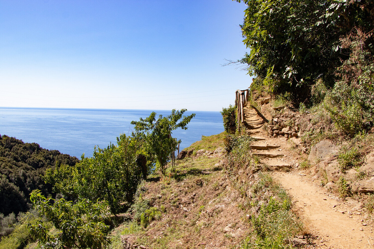 Cosa vedere alle Cinque Terre: Esperienze autentiche tra natura e sapori - 2026 - 11 - cosa fare alle cinque terre,visitare le cinque terre cosa fare alle cinque terre,visitare le cinque terre - Cosa vedere alle Cinque Terre: Esperienze autentiche tra natura e sapori - 2026 - 10