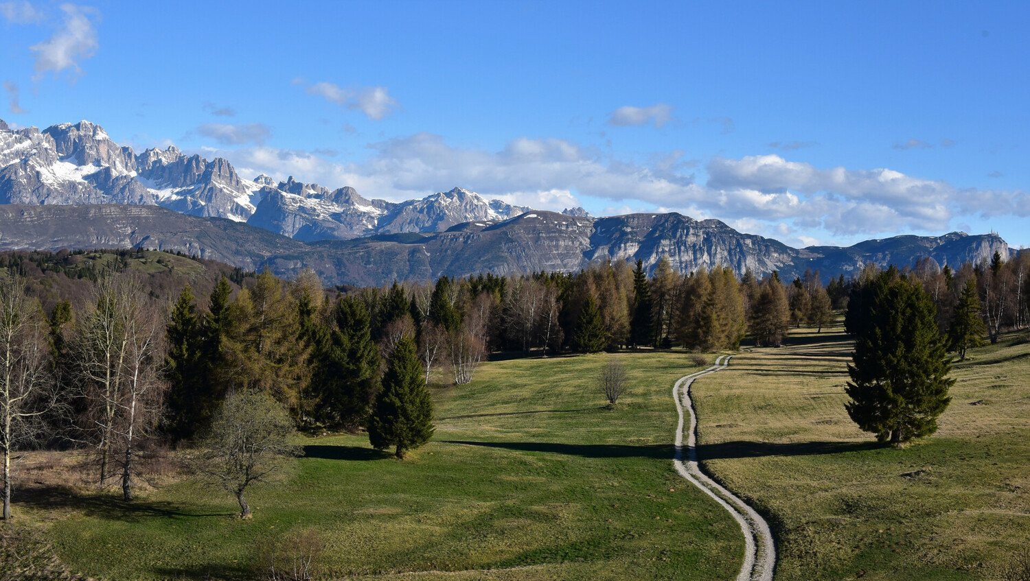 Cosa vedere a Trento: Guida per un Viaggio Indimenticabile - 2026 - 9 - cosa vedere a trento, visitare trento cosa vedere a trento, visitare trento - Cosa vedere a Trento: Guida per un Viaggio Indimenticabile - 2026 - 8