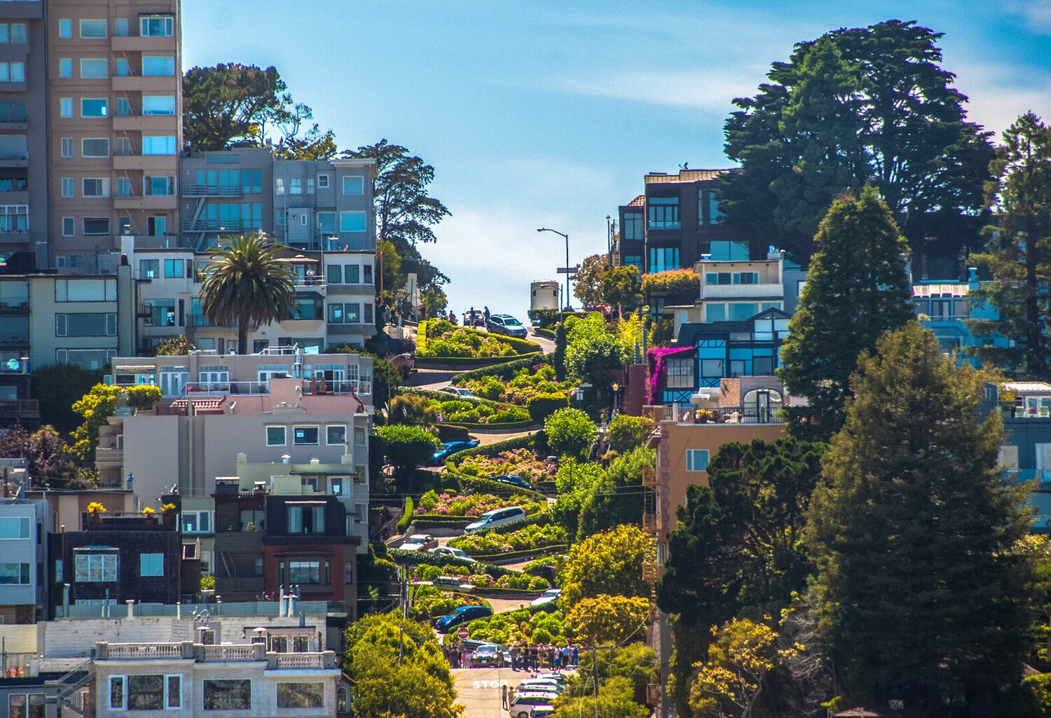 Best Things To Do in San Francisco: Your Ultimate Travel Guide - 2026 - 10 - things to do in San Francisco,things to do San Francisco,san francisco things to do things to do in San Francisco,things to do San Francisco,san francisco things to do - Best Things To Do in San Francisco: Your Ultimate Travel Guide - 2026 - 9
