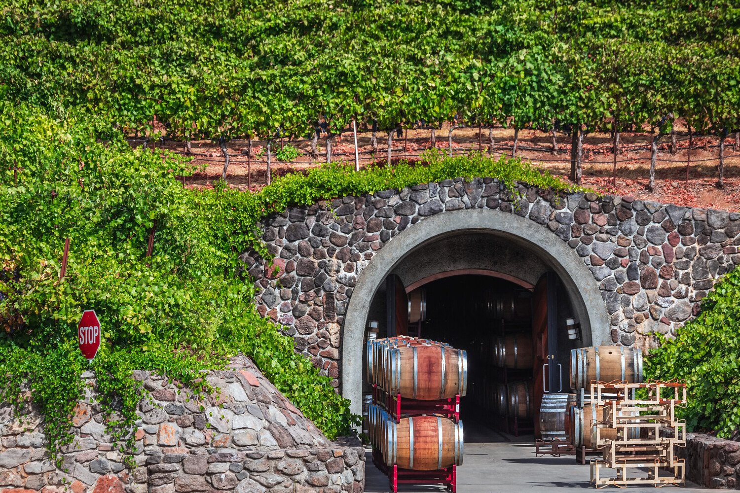 Best Things to Do in Sonoma Valley: From Vineyards to Scenic Trails - 2026 - 4 - - Best Things to Do in Sonoma Valley: From Vineyards to Scenic Trails - 2026 - 3