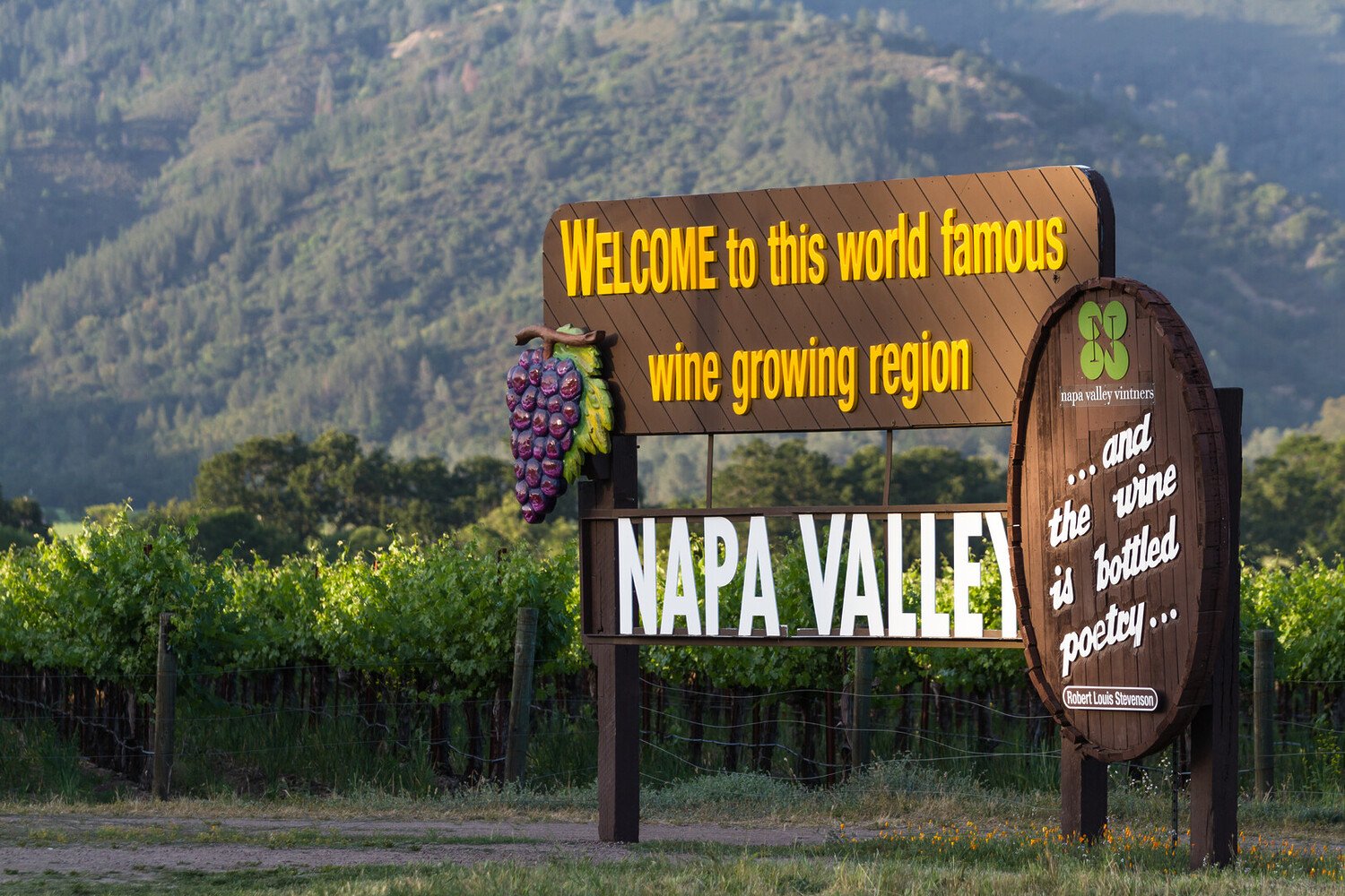 Best Things to Do in Sonoma Valley: From Vineyards to Scenic Trails - 2026 - 8 - - Best Things to Do in Sonoma Valley: From Vineyards to Scenic Trails - 2026 - 7