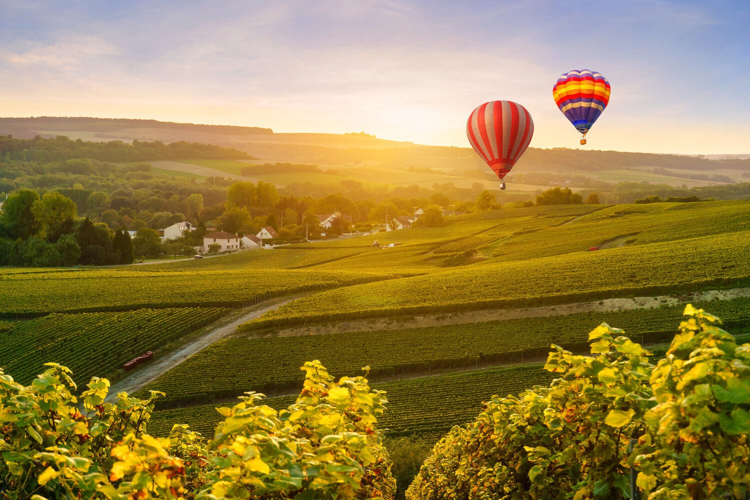 Best Things to do in Napa Valley: Wine, Gastronomy & Views - 2026 - 14 - - Best Things to do in Napa Valley: Wine, Gastronomy & Views - 2026 - 13