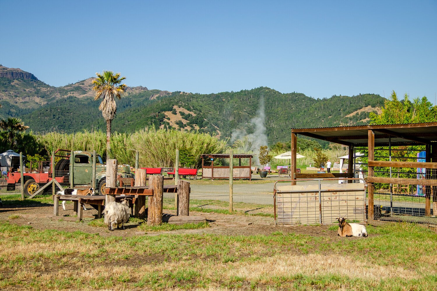 Best Things to do in Napa Valley: Wine, Gastronomy & Views - 2026 - 18 - - Best Things to do in Napa Valley: Wine, Gastronomy & Views - 2026 - 17