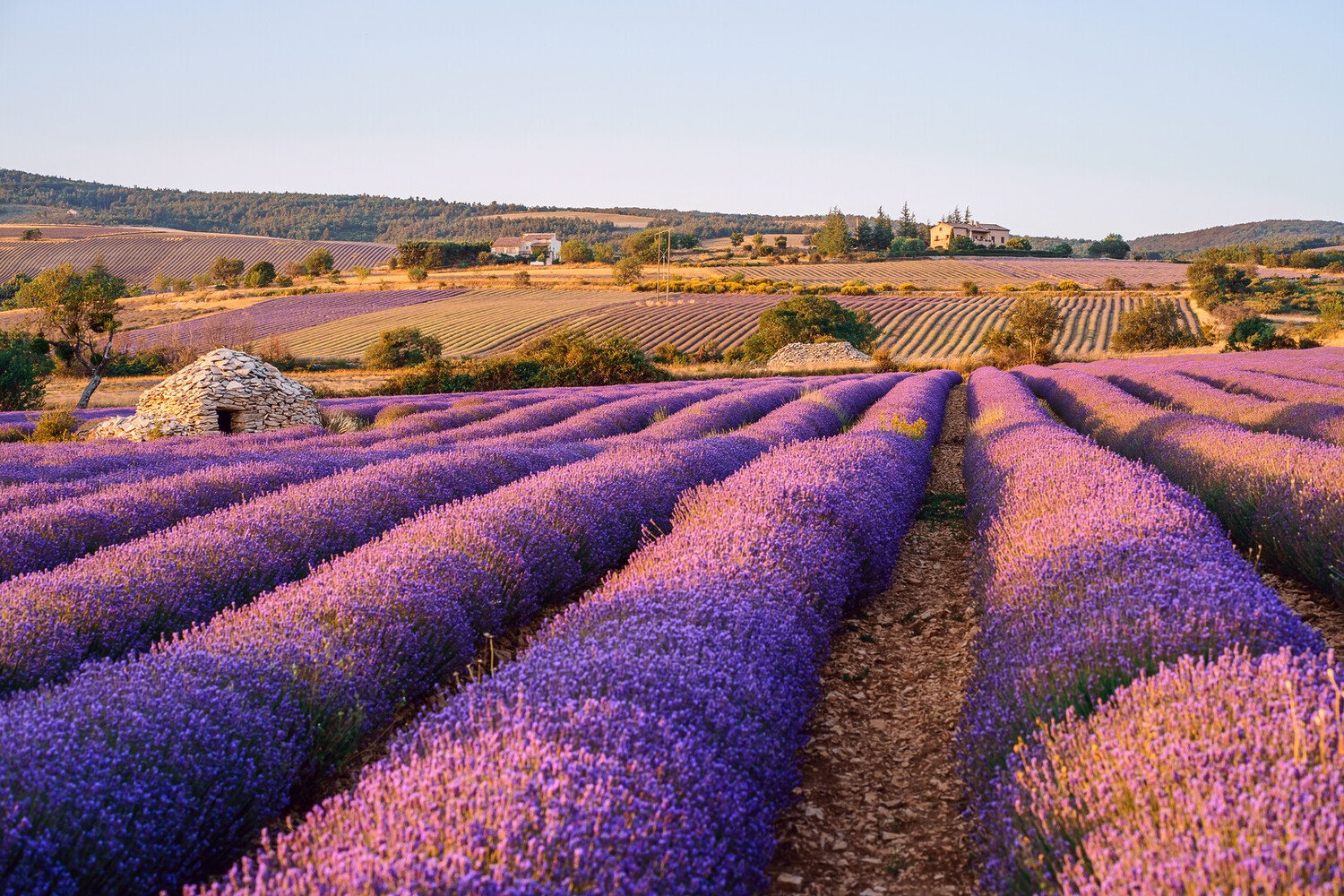 Cosa vedere a Nizza: I Luoghi Imperdibili da Visitare - 2026 - 14 - cosa vedere a nizza,visitare nizza cosa vedere a nizza,visitare nizza - Cosa vedere a Nizza: I Luoghi Imperdibili da Visitare - 2026 - 13