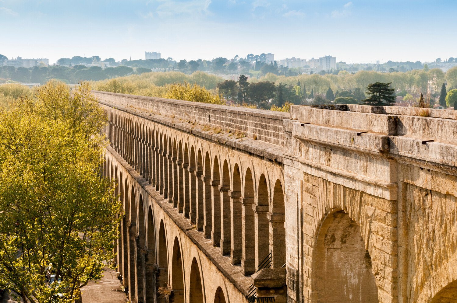 Cosa vedere a Montpellier: luoghi da visitare - 2026 - 14 - cosa vedere a montpellier,visitare montpellier cosa vedere a montpellier,visitare montpellier - Cosa vedere a Montpellier: luoghi da visitare - 2026 - 13