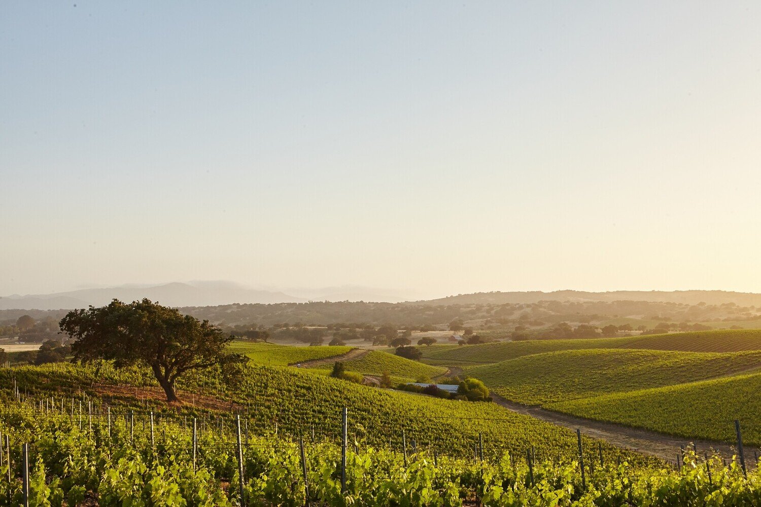 Best things to do in Santa Barbara: Your Ultimate Travel Guide - 2026 - 12 - - Best things to do in Santa Barbara: Your Ultimate Travel Guide - 2026 - 11