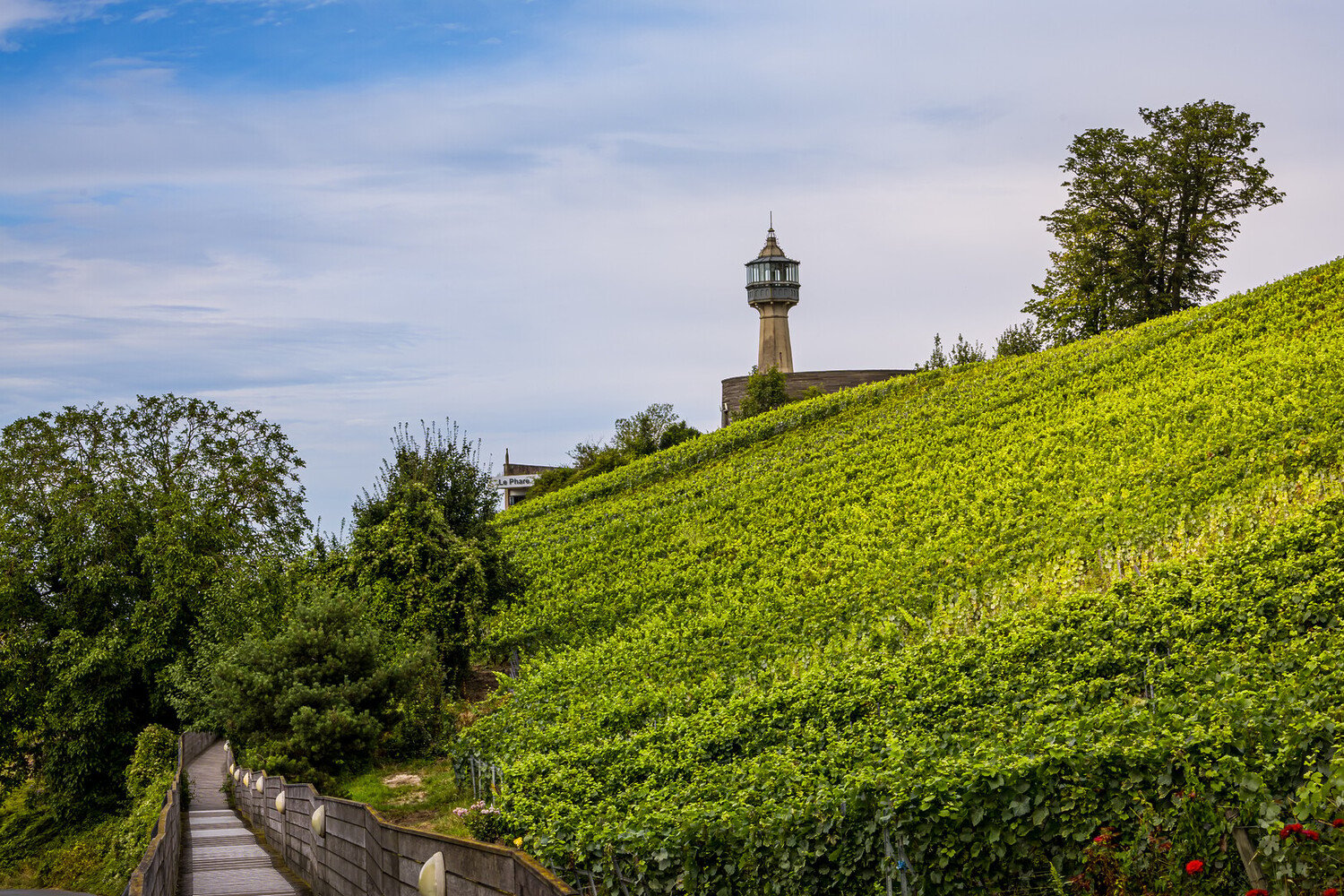 Les plus beaux villages autour de Reims à visiter - 2026 - 2 - plus beaux villages autour de reims plus beaux villages autour de reims - Les plus beaux villages autour de Reims à visiter - 2026 - 1