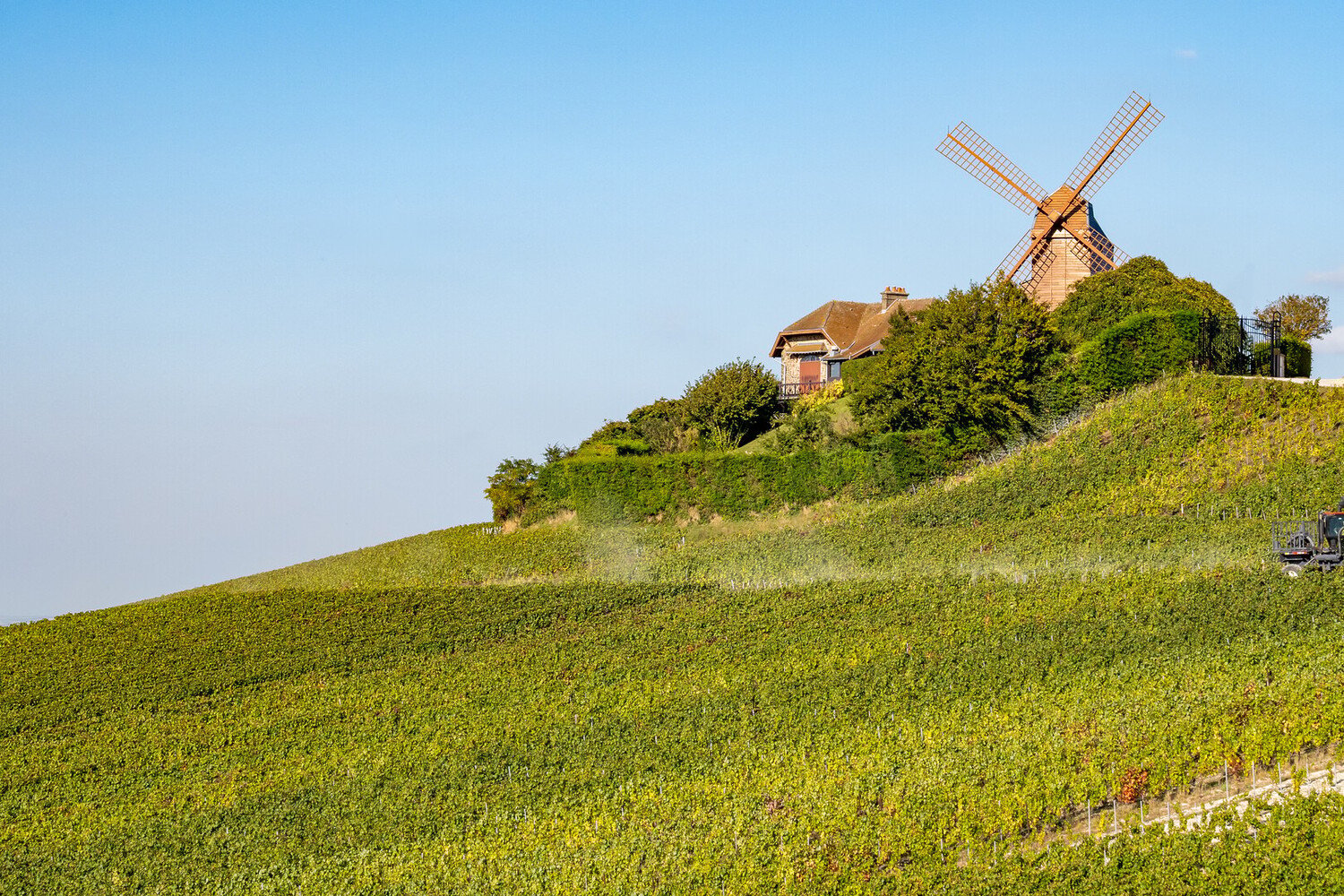 Best Wine Bar Reims: A Guide to Natural Wines & Food Spots - 2026 - 8 - wine bar reims wine bar reims - Best Wine Bar Reims: A Guide to Natural Wines & Food Spots - 2026 - 7