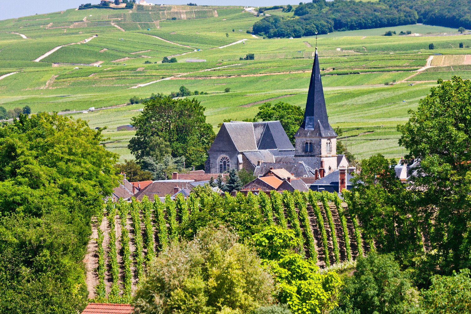 Quelles sont les 13 régions viticoles françaises ? - 2026 - 3 - régions viticoles, france, champagne, bordeaux, bourgogne régions viticoles, france, champagne, bordeaux, bourgogne - Quelles sont les 13 régions viticoles françaises ? - 2026 - 2