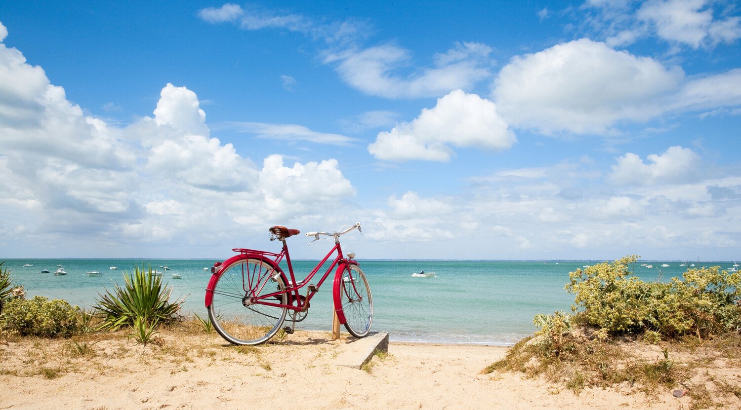 Que faire en Charente Maritime : Fort Boyard, huîtres et sites touristiques - 2026 - 6 - que faire en charente maritime que faire en charente maritime - Que faire en Charente Maritime : Fort Boyard, huîtres et sites touristiques - 2026 - 5
