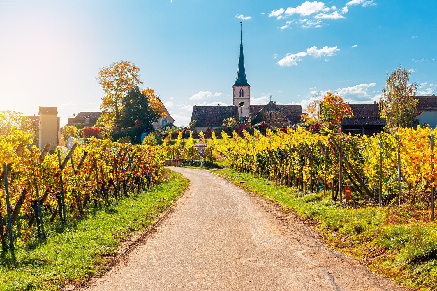 Les plus beaux villages autour de Colmar à visiter - 2026 - 20 - Les plus beaux villages autour de Colmar Les plus beaux villages autour de Colmar - Les plus beaux villages autour de Colmar à visiter - 2026 - 19