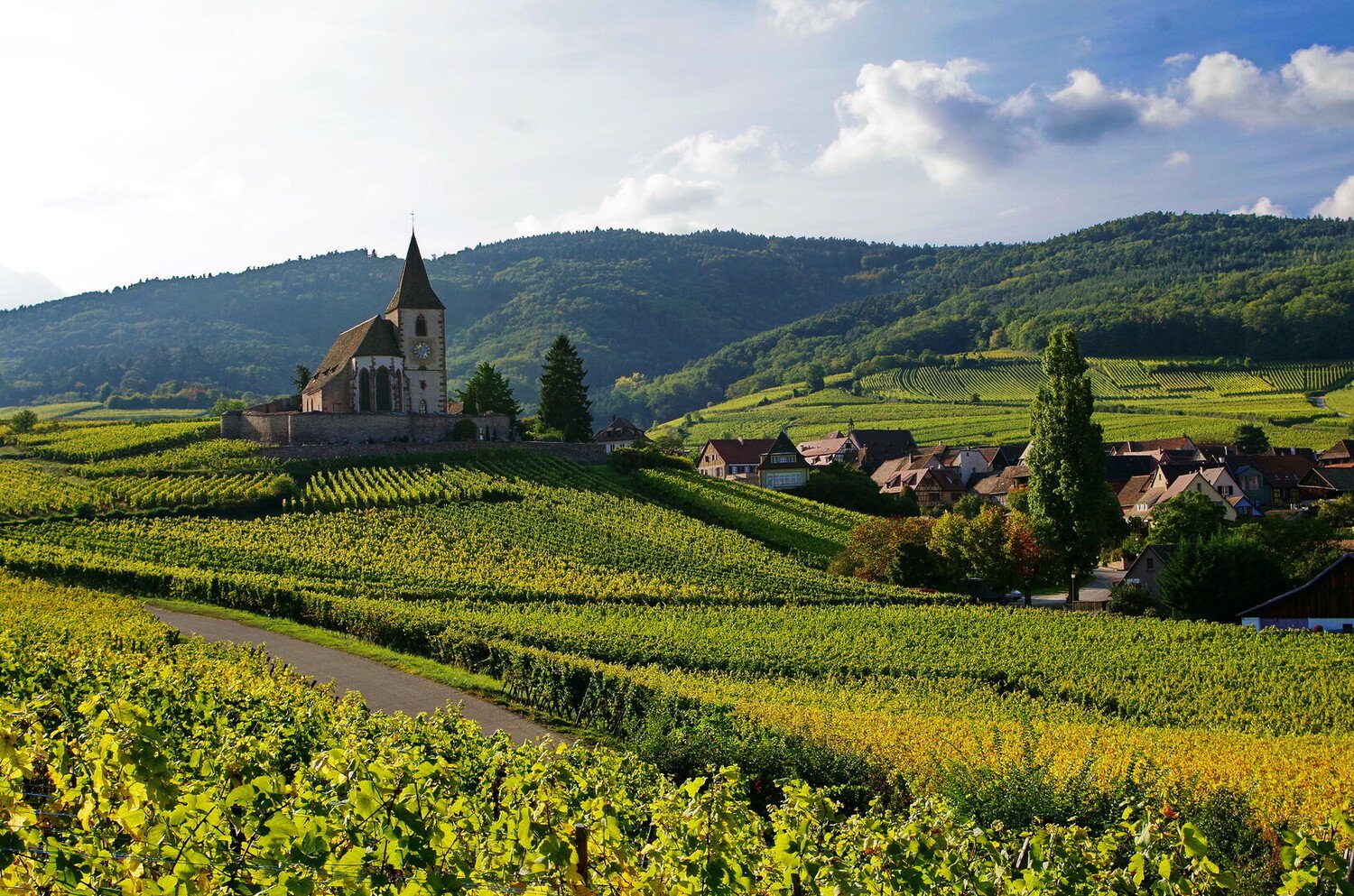 Que faire à Ribeauvillé : idées de visites pour un week-end en Alsace - 2026 - 31 - que faire à ribeauvillé que faire à ribeauvillé - Que faire à Ribeauvillé : idées de visites pour un week-end en Alsace - 2026 - 30