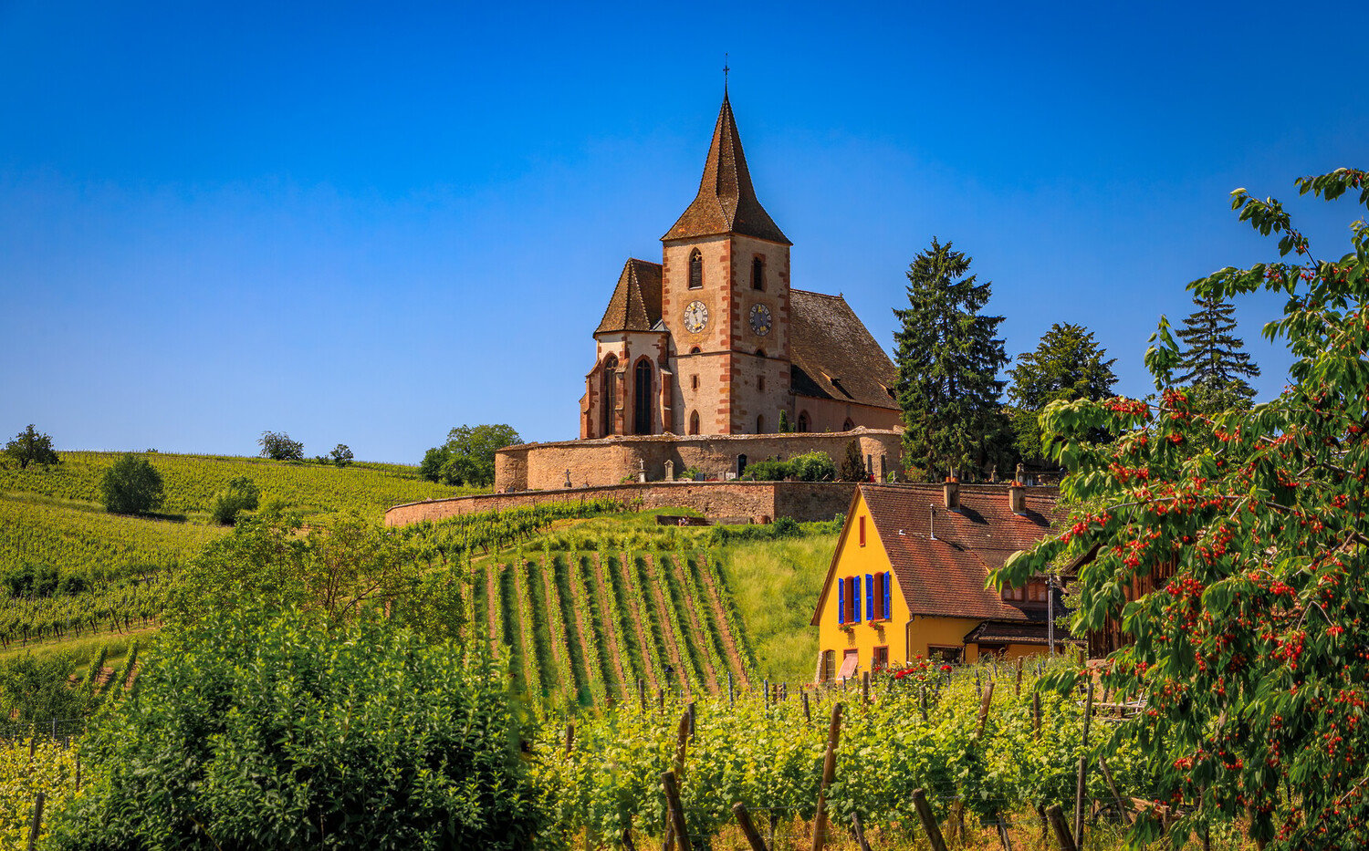 Top Things to Do in Riquewihr: Day Trip to a Typical Village in Alsace - 2026 - 20 - things to do in riquewihr things to do in riquewihr - Top Things to Do in Riquewihr: Day Trip to a Typical Village in Alsace - 2026 - 19