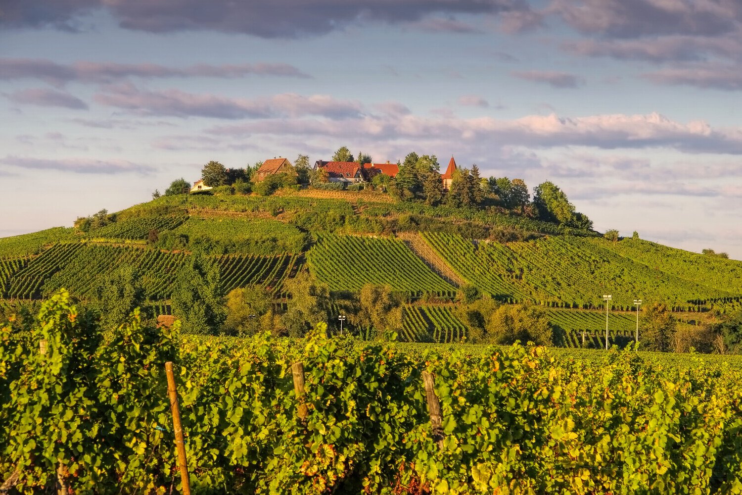 Top Things to Do in Riquewihr: Day Trip to a Typical Village in Alsace - 2026 - 22 - things to do in riquewihr things to do in riquewihr - Top Things to Do in Riquewihr: Day Trip to a Typical Village in Alsace - 2026 - 21