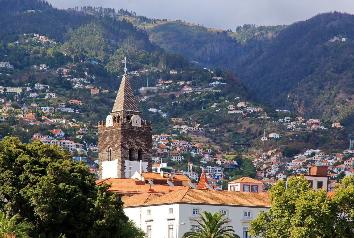 Funchal - Que faire à Funchal : la ville-jardin au bord de l’océan - 2026 - 11