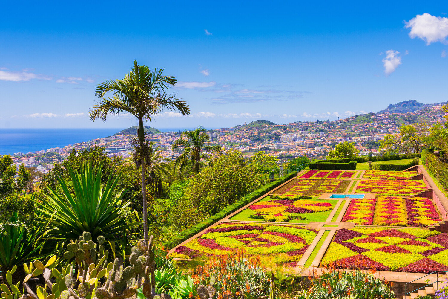 Funchal - Que faire à Funchal : la ville-jardin au bord de l’océan - 2026 - 13