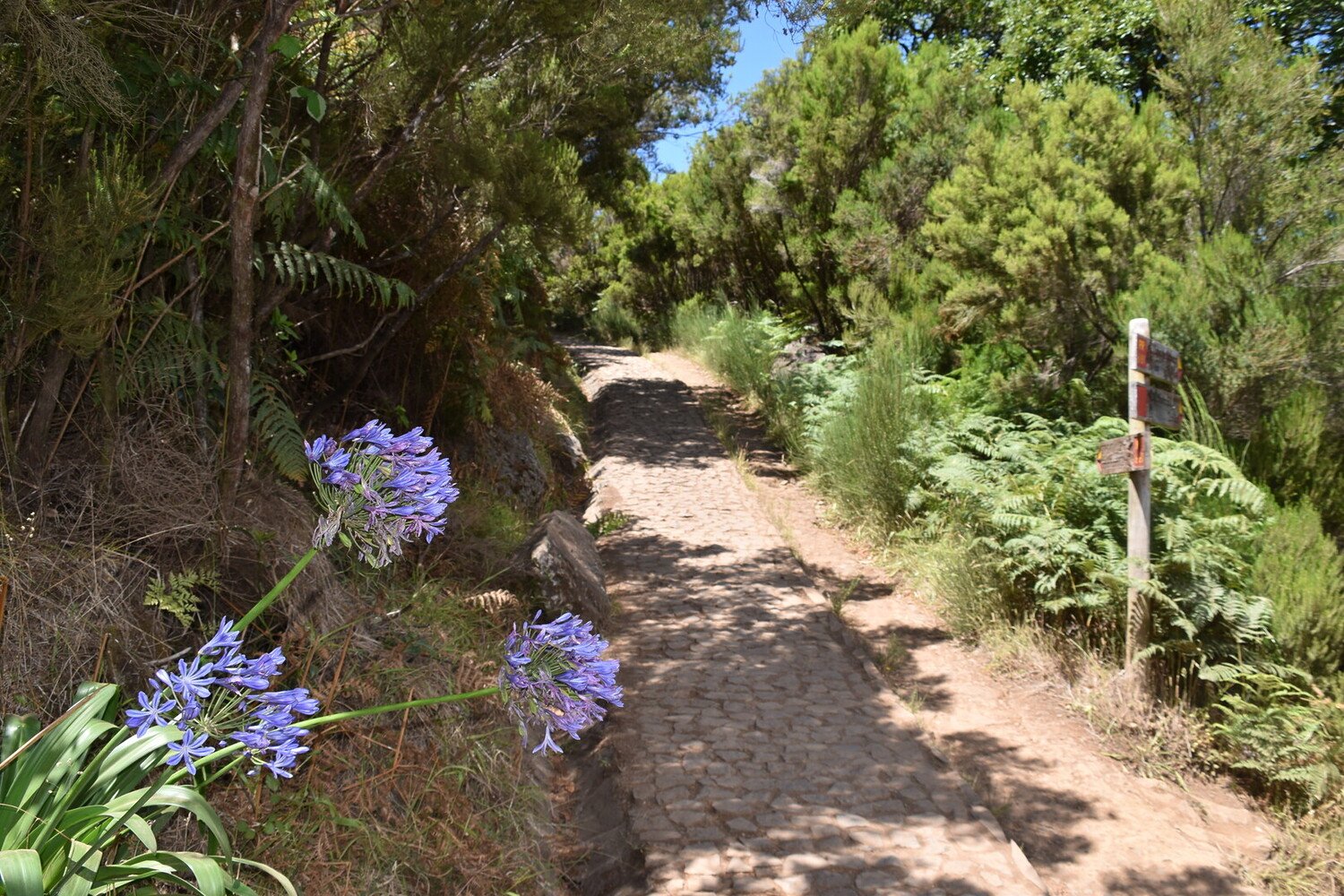 Funchal - Que faire à Funchal : la ville-jardin au bord de l’océan - 2026 - 36