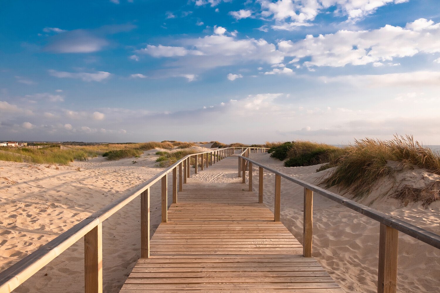 Visiter Aveiro : La ville d’eau où il fait bon flâner - 2026 - 26 - visiter aveiro visiter aveiro - Visiter Aveiro : La ville d’eau où il fait bon flâner - 2026 - 25