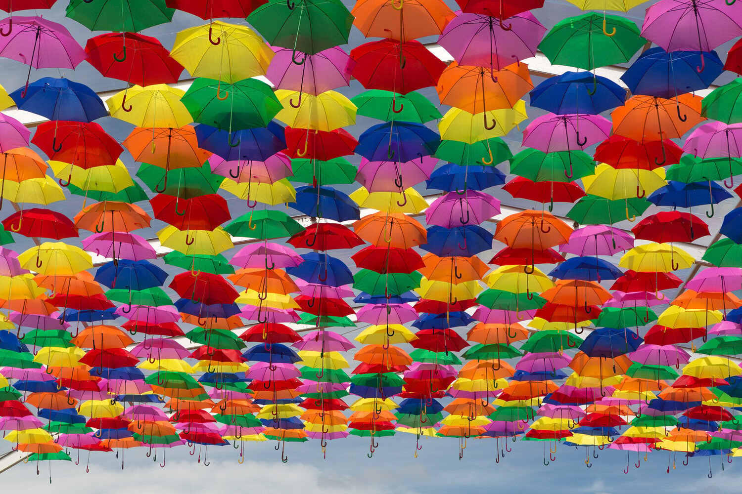 The Unmissable Things to Do in Aveiro, the Venice of Portugal - 2026 - 16 - what to do in aveiro what to do in aveiro - The Unmissable Things to Do in Aveiro, the Venice of Portugal - 2026 - 15