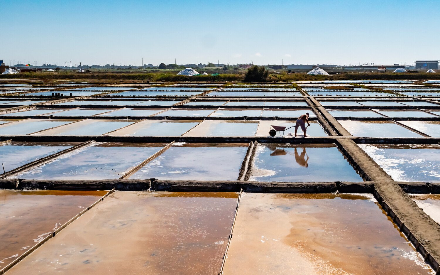 The Unmissable Things to Do in Aveiro, the Venice of Portugal - 2026 - 28 - what to do in aveiro what to do in aveiro - The Unmissable Things to Do in Aveiro, the Venice of Portugal - 2026 - 27