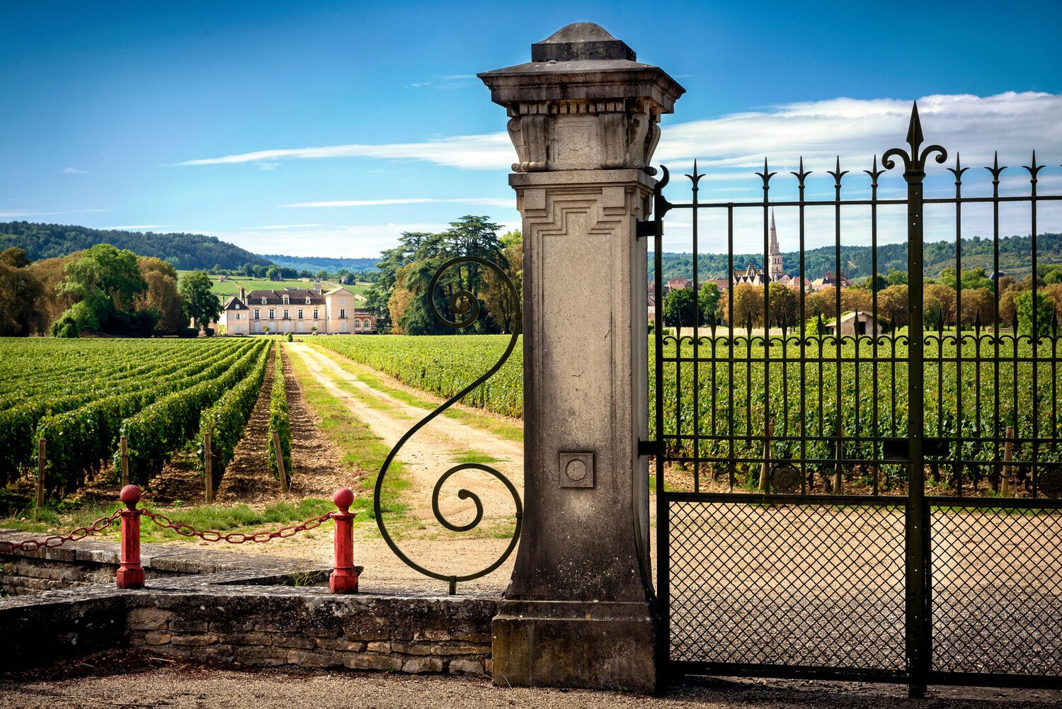 Découvrez les meilleurs vins à offrir en cadeau pour faire plaisir - 2026 - 12 - vins à offrir vins à offrir - Découvrez les meilleurs vins à offrir en cadeau pour faire plaisir - 2026 - 11