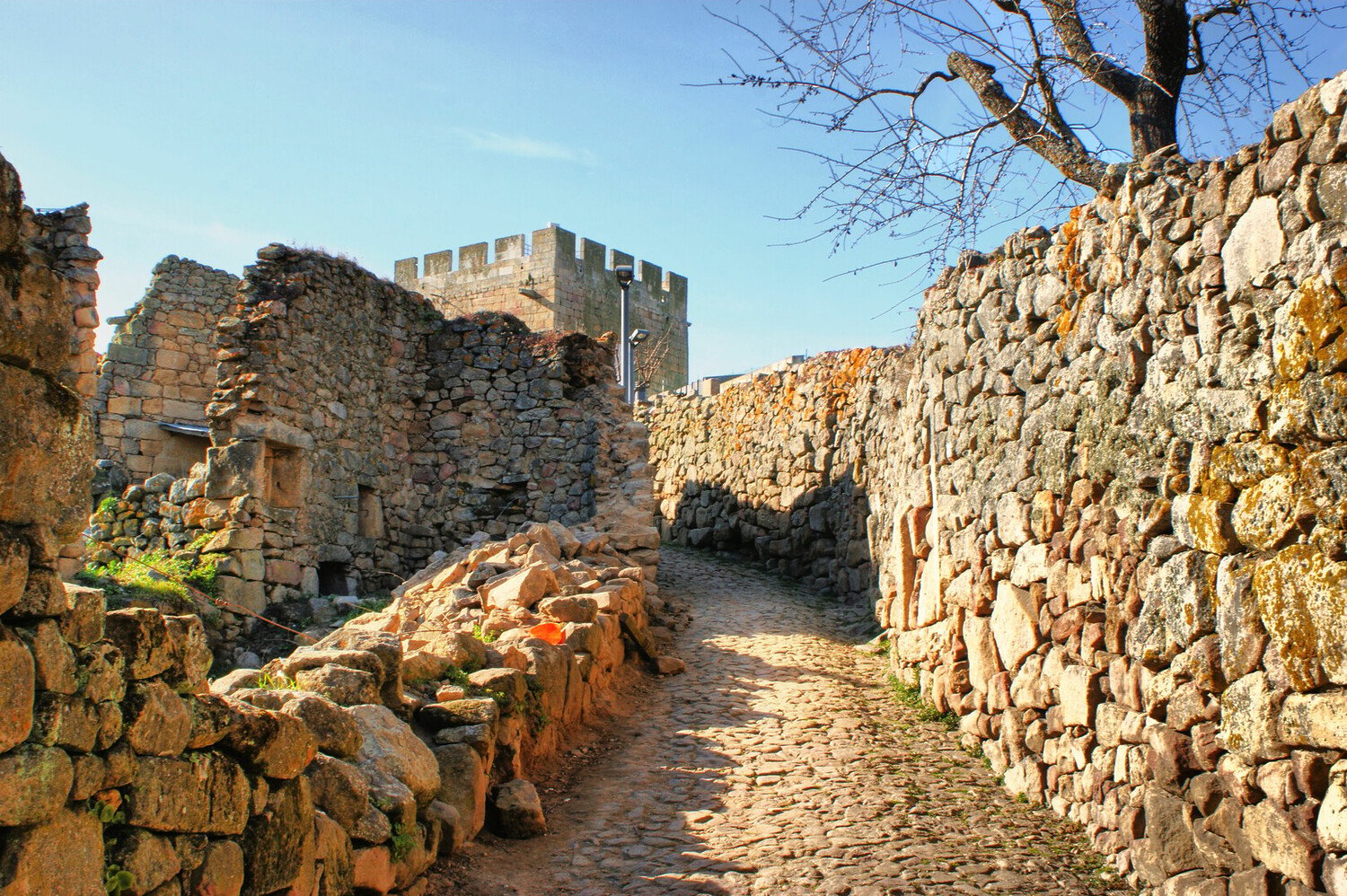 Visiter Castelo Rodrigo : un détour paisible au sommet des collines - 2026 - 14 - castelo rodrigo castelo rodrigo - Visiter Castelo Rodrigo : un détour paisible au sommet des collines - 2026 - 13