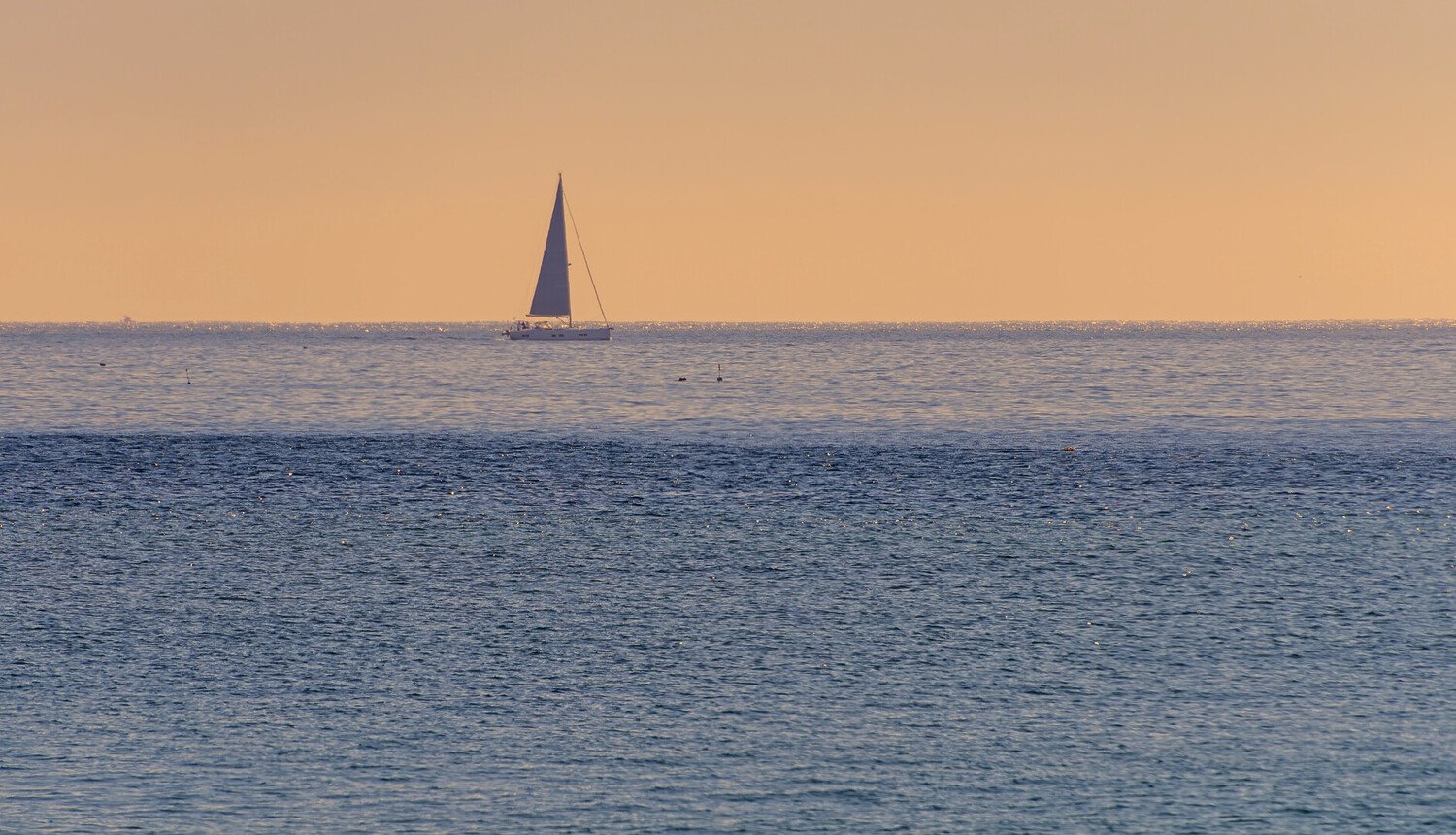 Visiter Sesimbra : l’escapade maritime entre nature et traditions - 2026 - 22 - sesimbra sesimbra - Visiter Sesimbra : l’escapade maritime entre nature et traditions - 2026 - 21