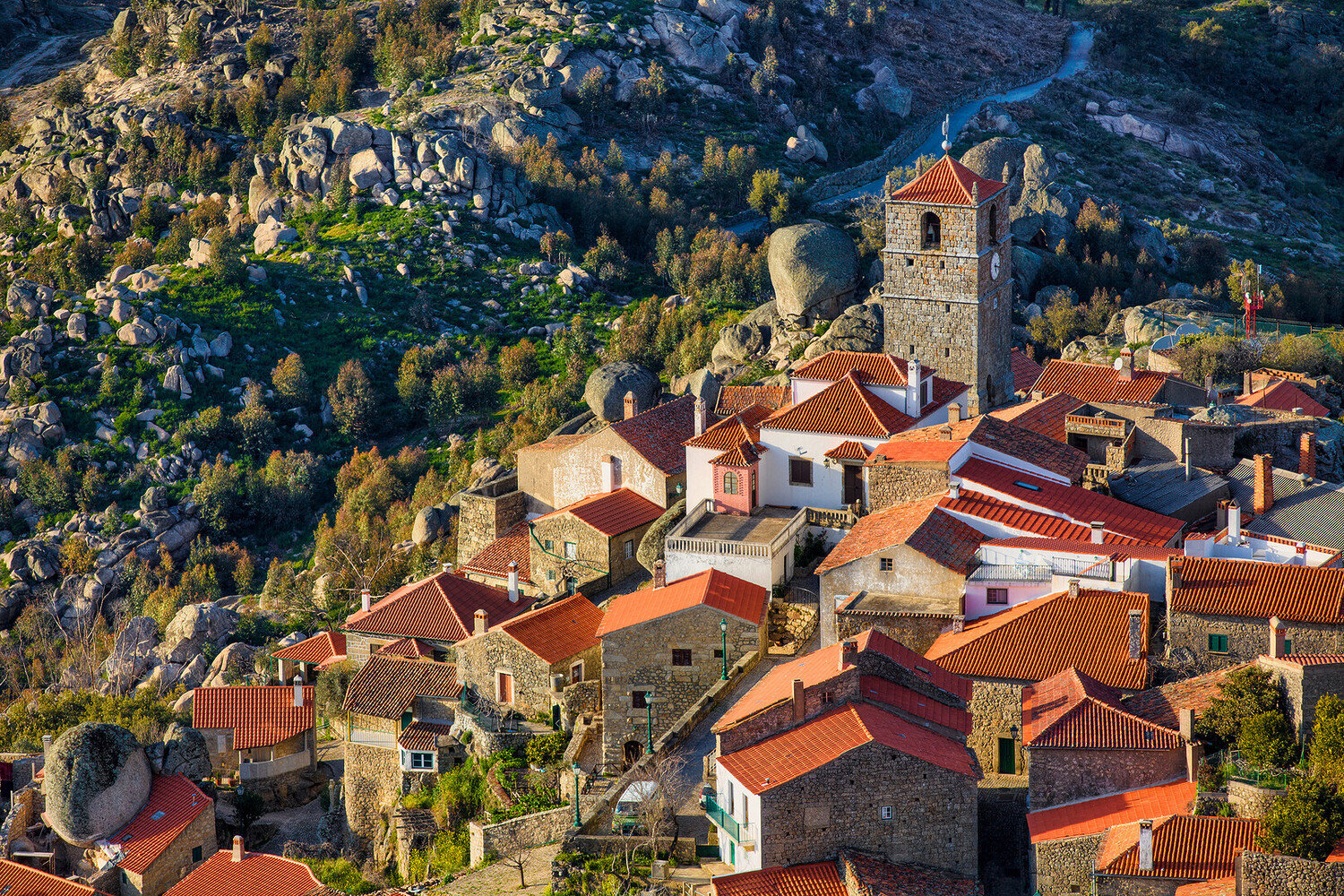 Visiter Castelo Branco : Entre nature préservée et héritage vivant - 2026 - 21 - castelo Branco castelo Branco - Visiter Castelo Branco : Entre nature préservée et héritage vivant - 2026 - 20