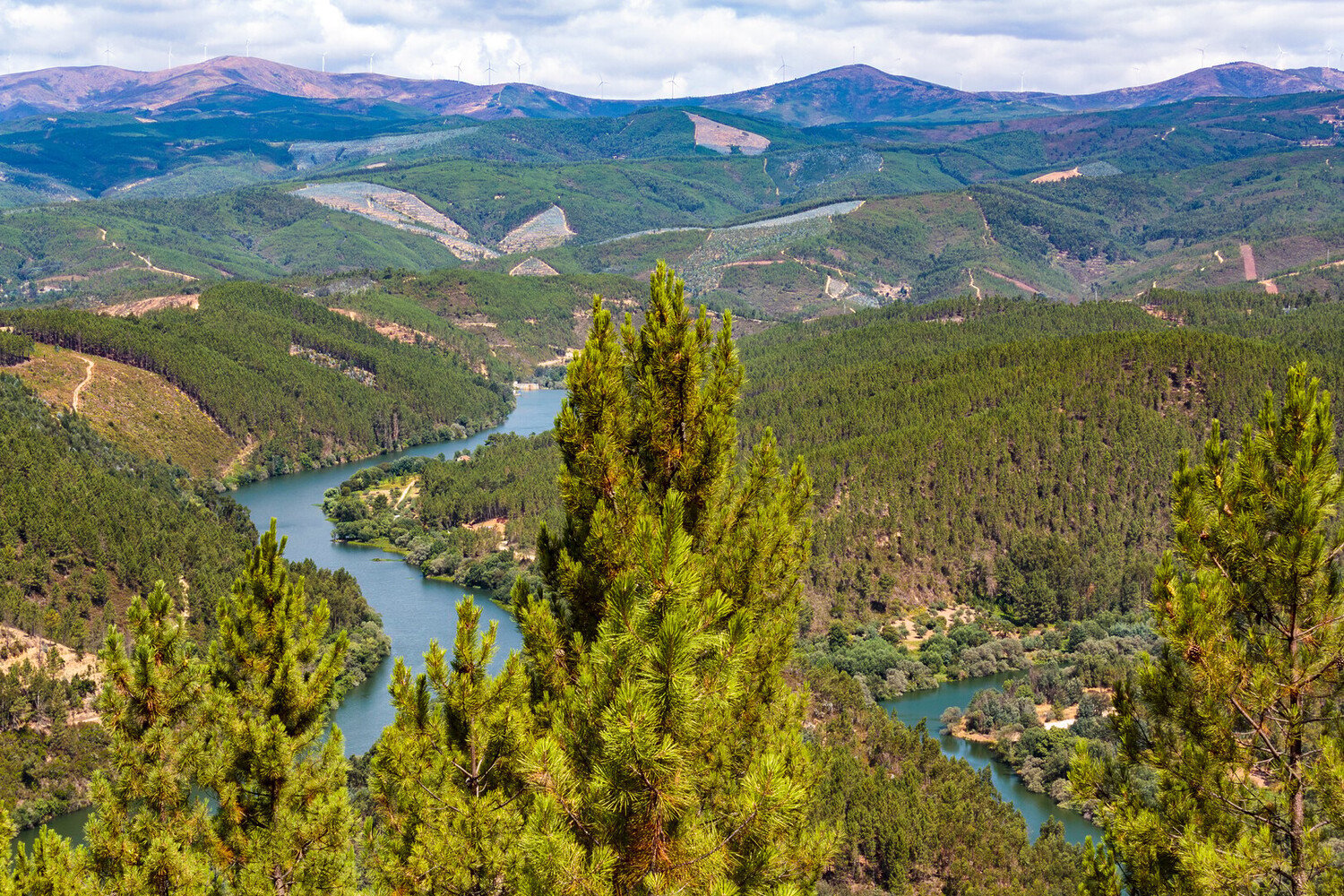 Visiting Tomar: A Templar Town Steeped in History - 2026 - 32 - things to do in tomar things to do in tomar - Visiting Tomar: A Templar Town Steeped in History - 2026 - 31