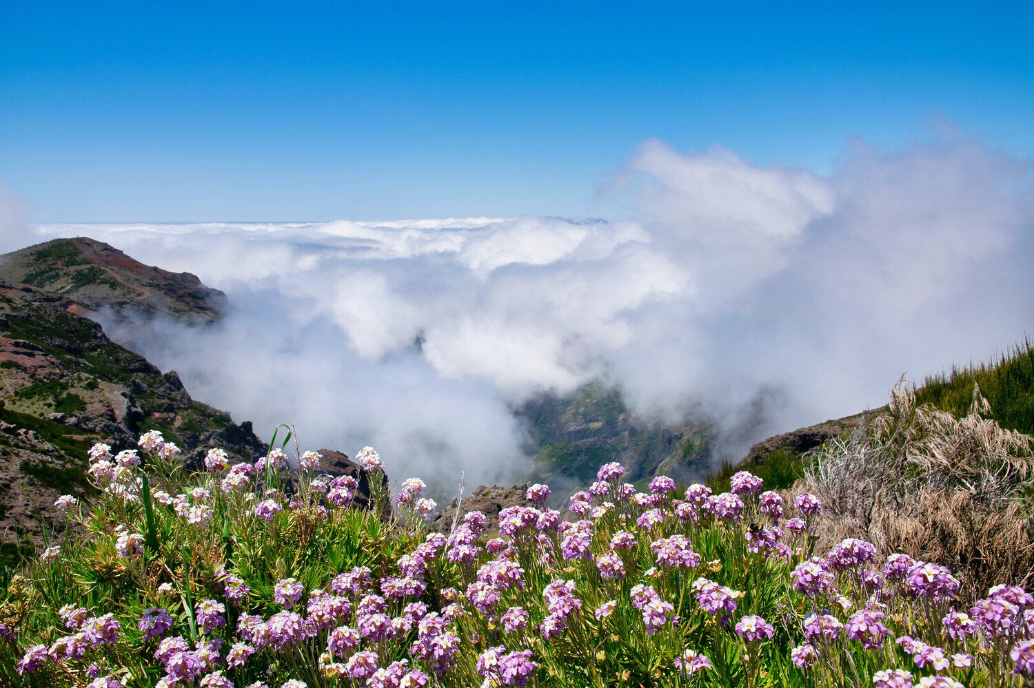 Pico do Arieiro: Walk Above the Clouds in Madeira’s Highlands - 2026 - 24 - visit pico do arieiro visit pico do arieiro - Pico do Arieiro: Walk Above the Clouds in Madeira’s Highlands - 2026 - 23