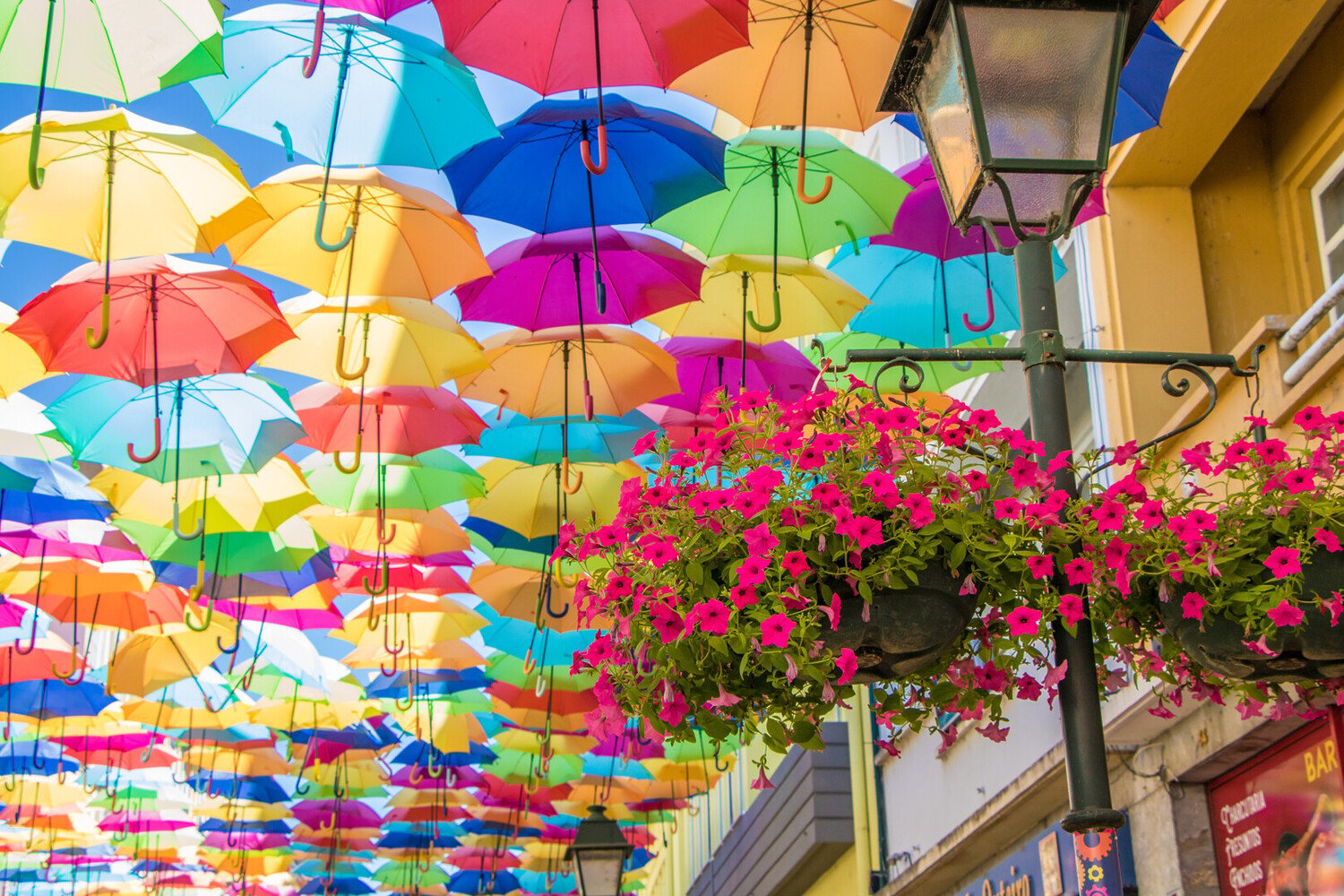 Visit Águeda: Discover Portugal’s Most Colorful and Creative City - 2026 - 2 - visit Agueda visit Agueda - Visit Águeda: Discover Portugal’s Most Colorful and Creative City - 2026 - 1