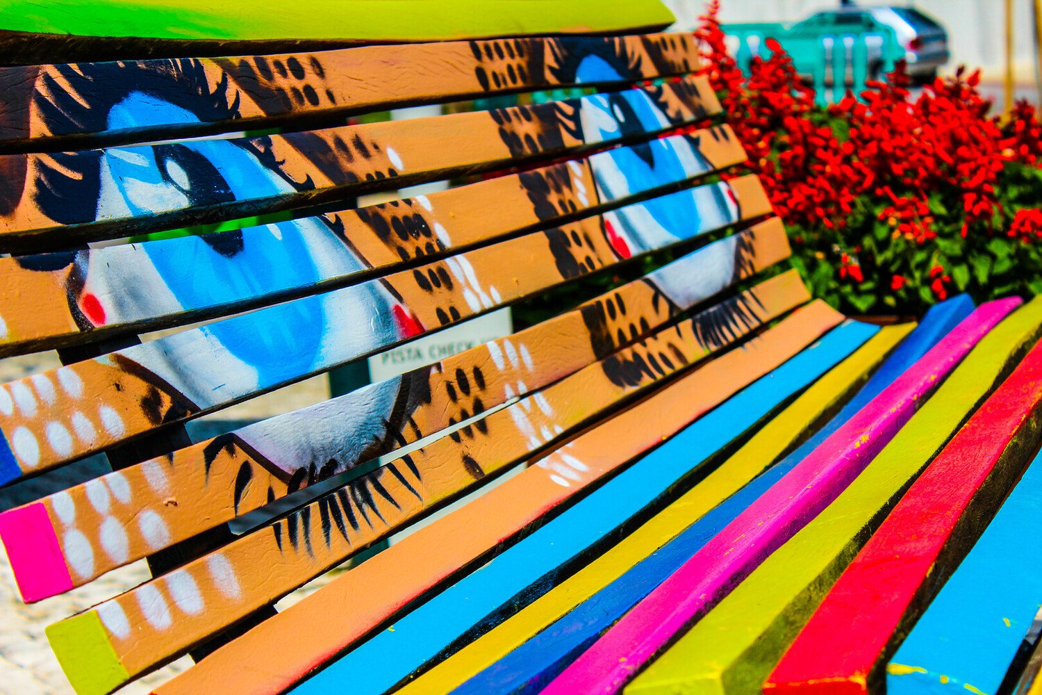 Visit Águeda: Discover Portugal’s Most Colorful and Creative City - 2026 - 12 - visit Agueda visit Agueda - Visit Águeda: Discover Portugal’s Most Colorful and Creative City - 2026 - 11
