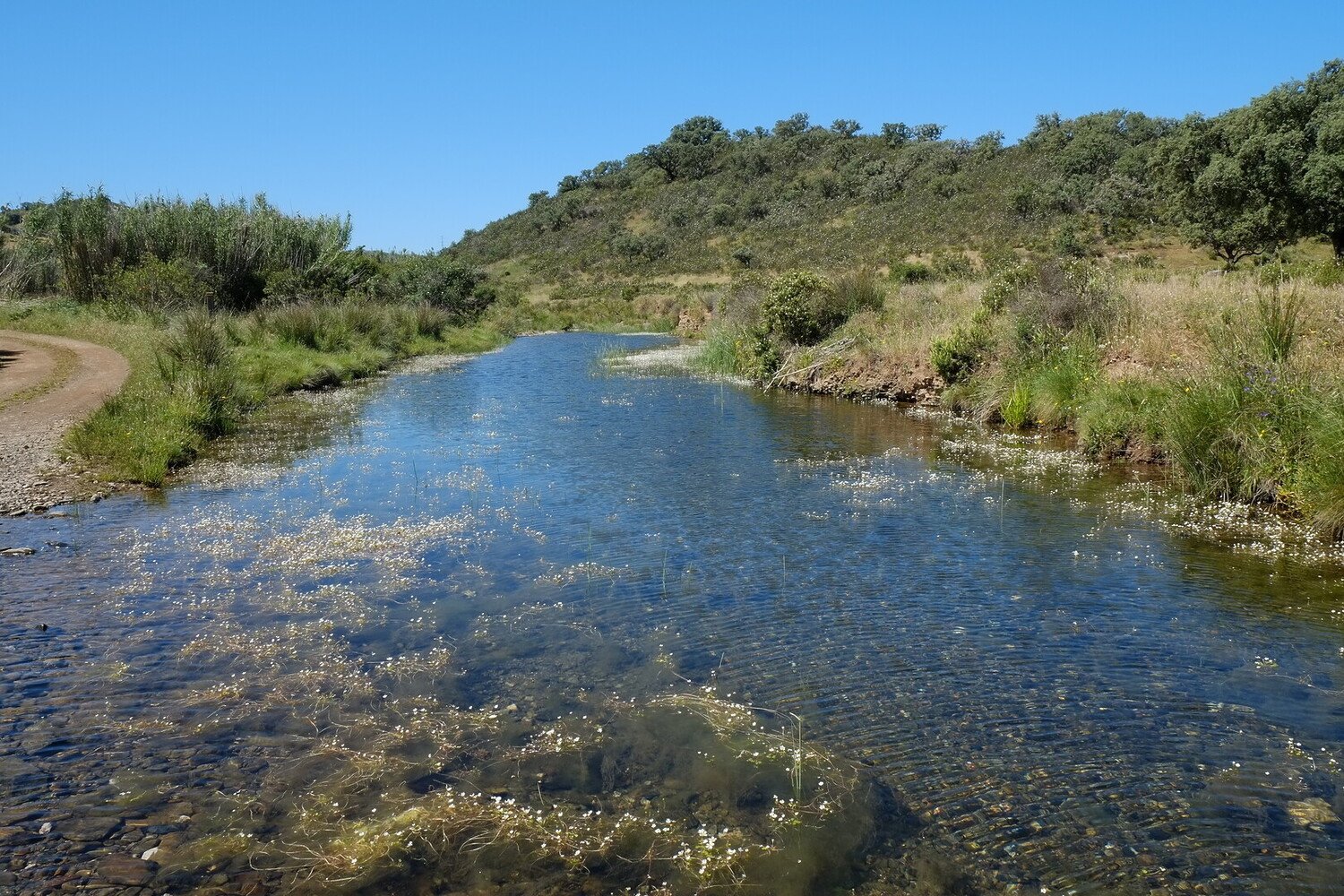 Visiter Alcoutim : Un air de bout du monde au bord du Guadiana - 2026 - 22 - alcoutim alcoutim - Visiter Alcoutim : Un air de bout du monde au bord du Guadiana - 2026 - 21