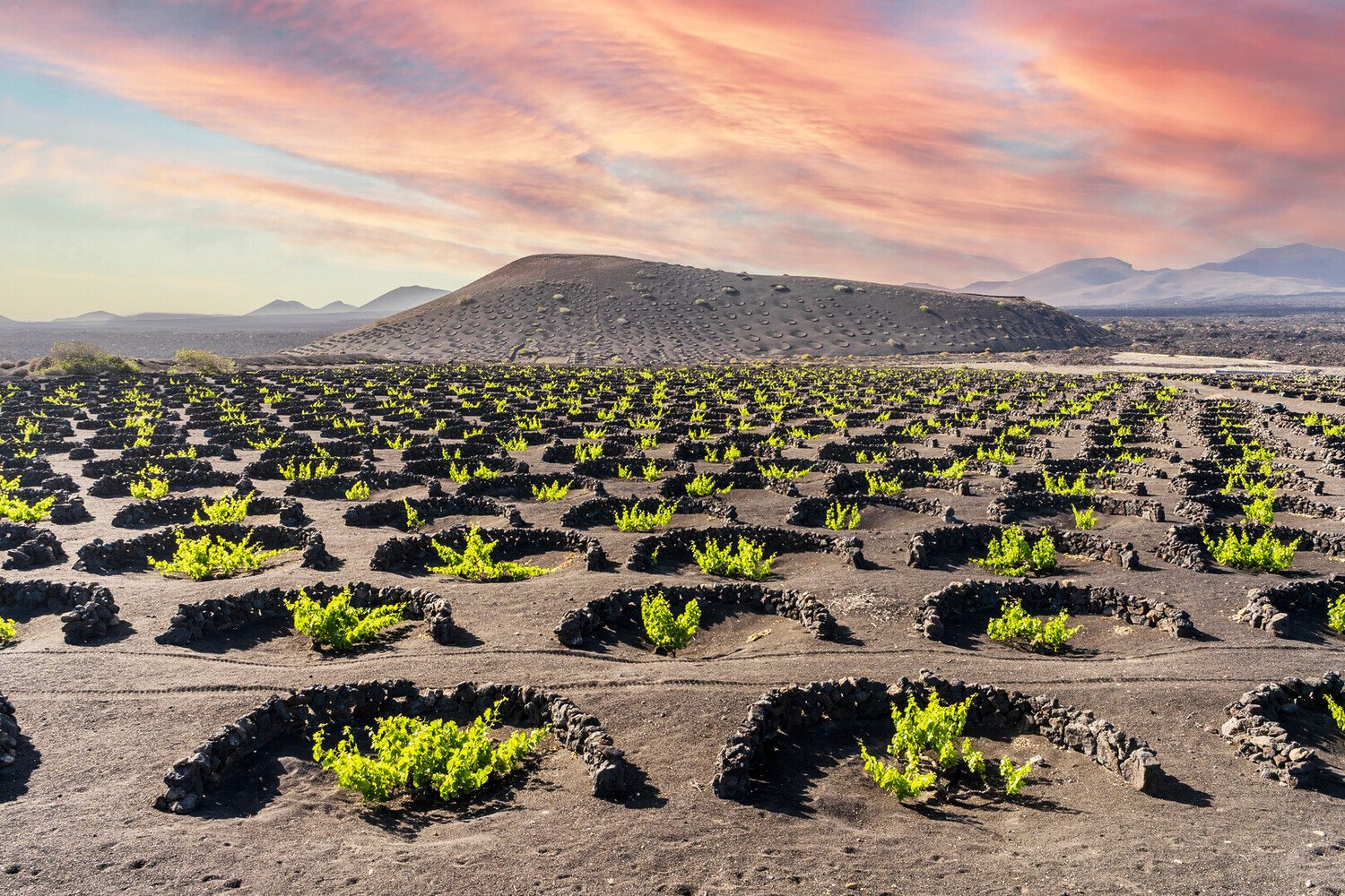 Top 10 des choses incontournables à faire aux îles Canaries - 2026 - 24 - îles canaries îles canaries - Top 10 des choses incontournables à faire aux îles Canaries - 2026 - 23
