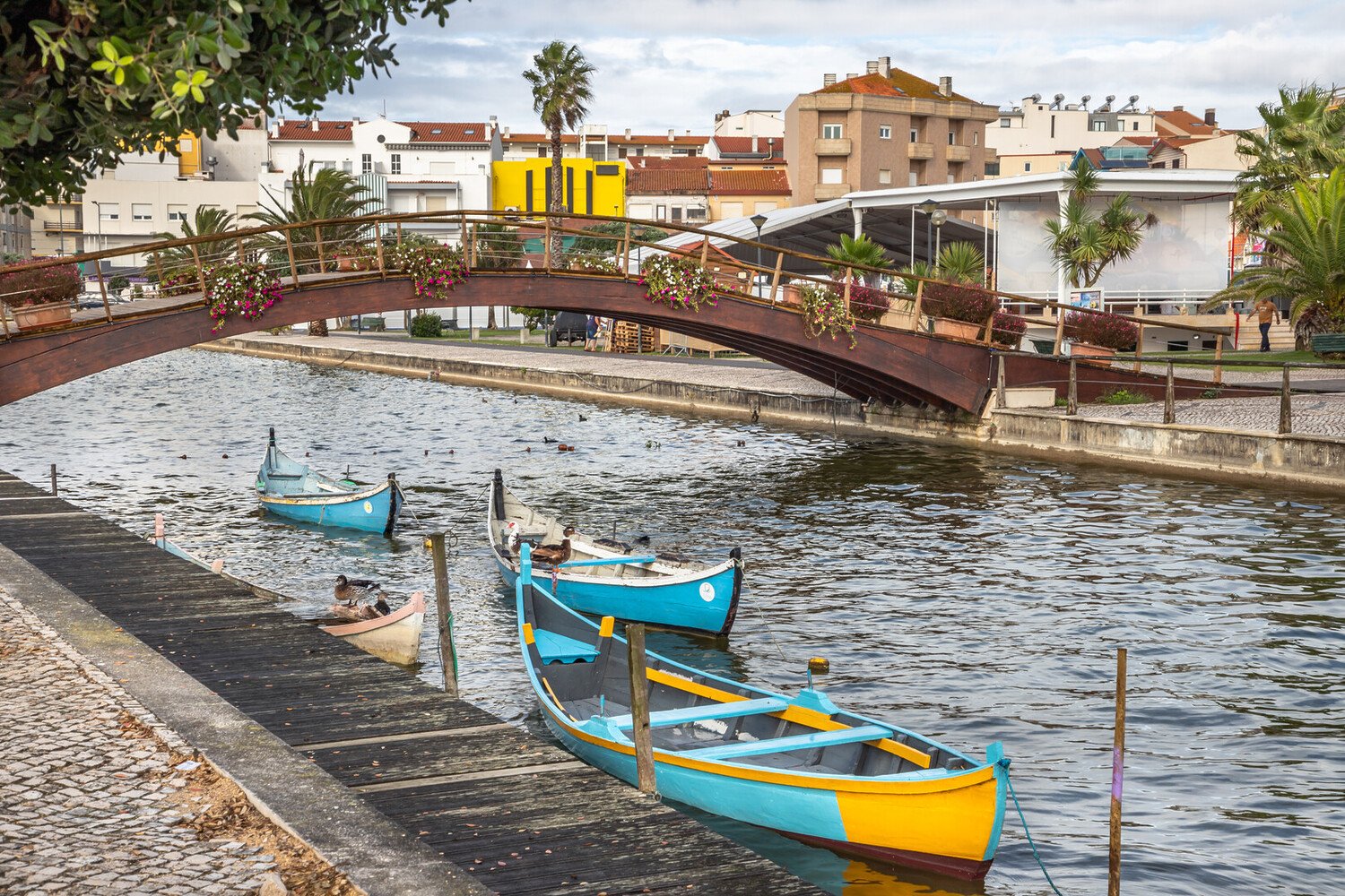 Visiter Mira, entre forêt de pins, dunes et saveurs iodées - 2026 - 2 - mira mira - Visiter Mira, entre forêt de pins, dunes et saveurs iodées - 2026 - 1