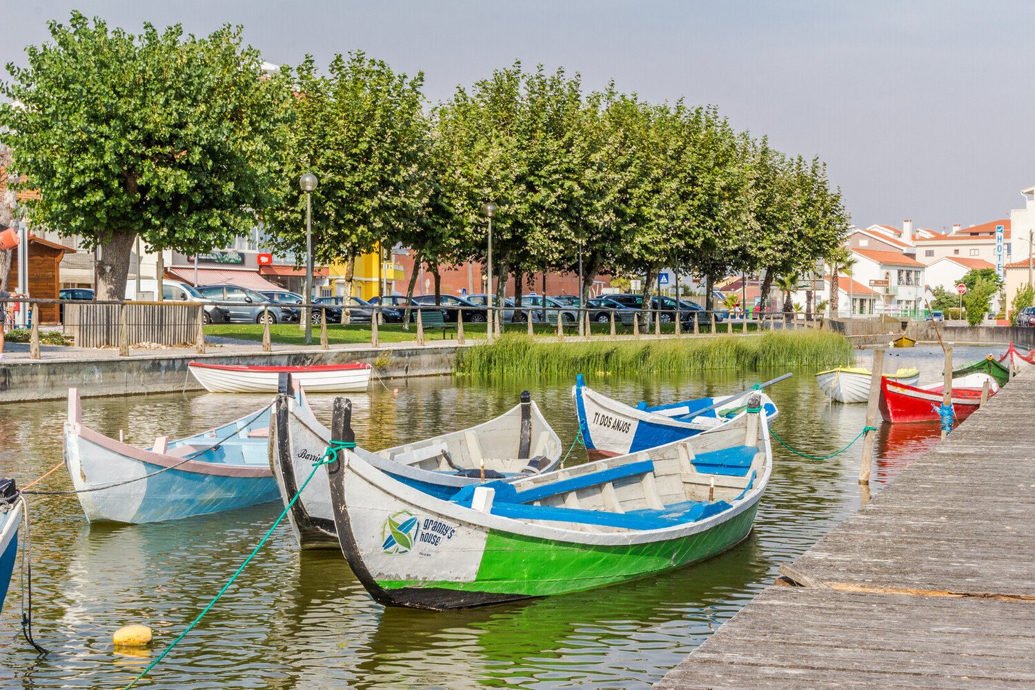 Visiter Mira, entre forêt de pins, dunes et saveurs iodées - 2026 - 3 - mira Mira