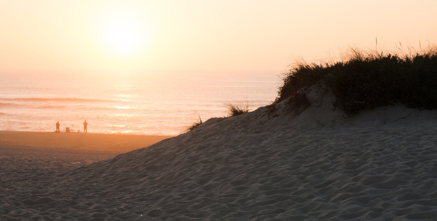 Visiter Mira, entre forêt de pins, dunes et saveurs iodées - 2026 - 21 - mira mira - Visiter Mira, entre forêt de pins, dunes et saveurs iodées - 2026 - 20
