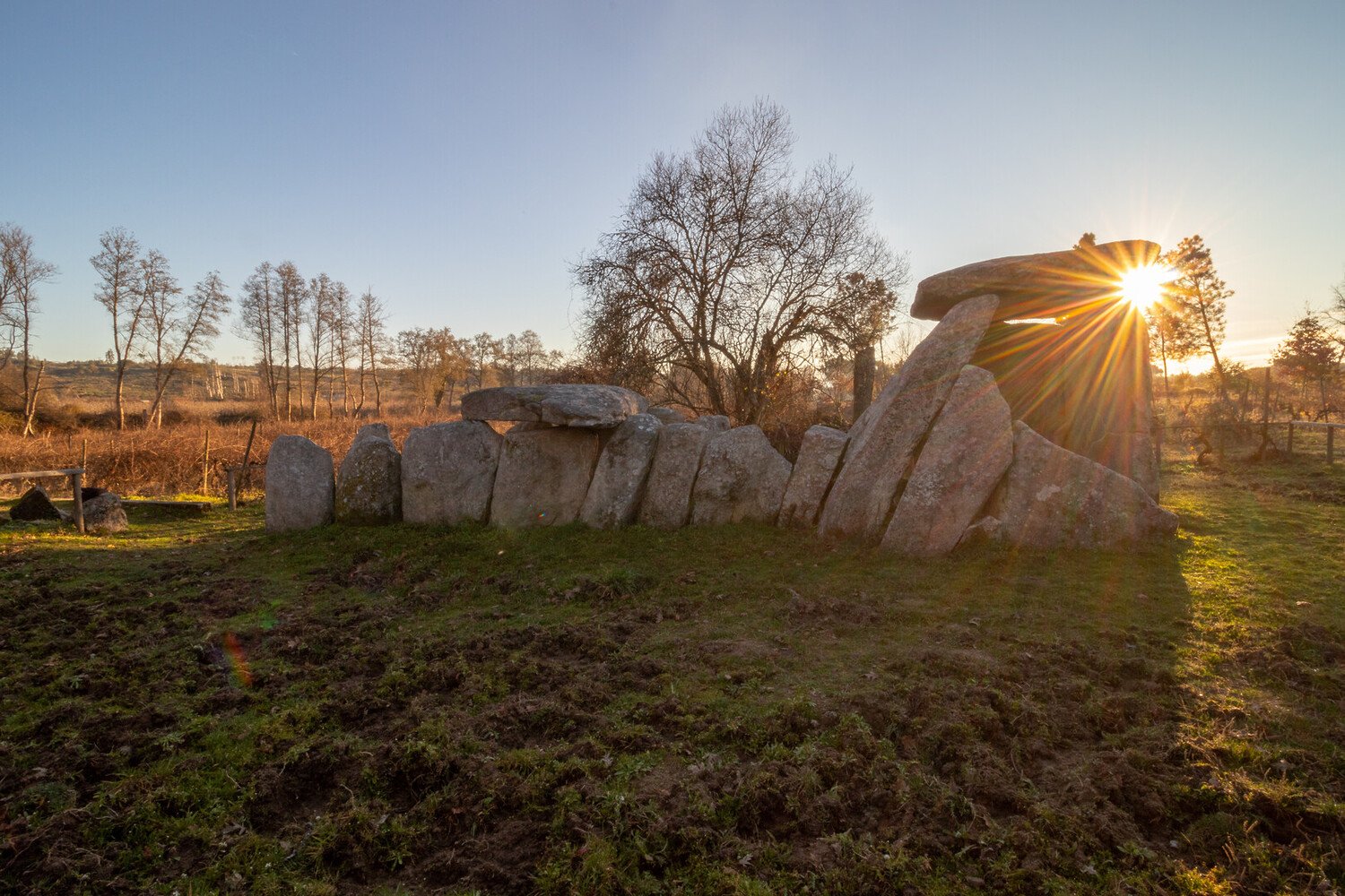 Visiter Mangualde : les meilleures attractions - 2026 - 10 - mangualde mangualde - Visiter Mangualde : les meilleures attractions - 2026 - 9