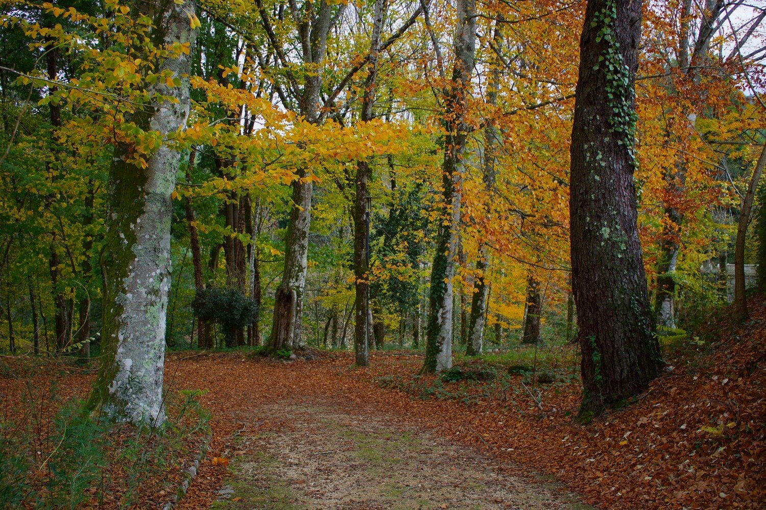 Visiter Melgaço : Un rendez-vous entre nature et histoire - 2026 - 8 - Melgaço Melgaço - Visiter Melgaço : Un rendez-vous entre nature et histoire - 2026 - 7
