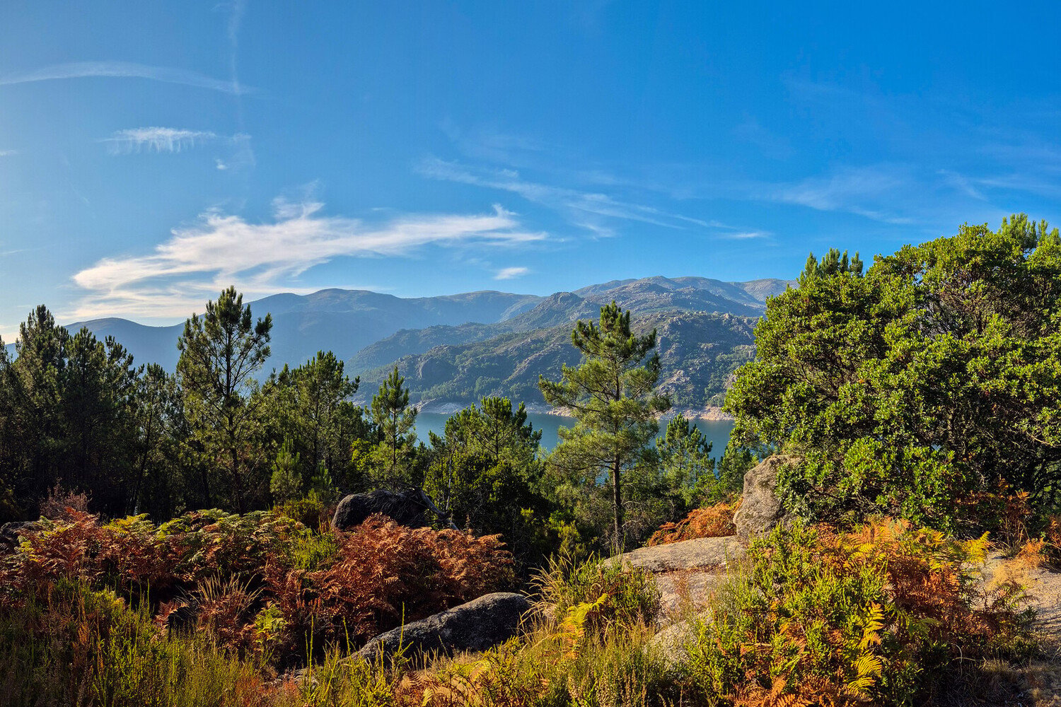 Visiter Melgaço : Un rendez-vous entre nature et histoire - 2026 - 20 - Melgaço Melgaço - Visiter Melgaço : Un rendez-vous entre nature et histoire - 2026 - 19