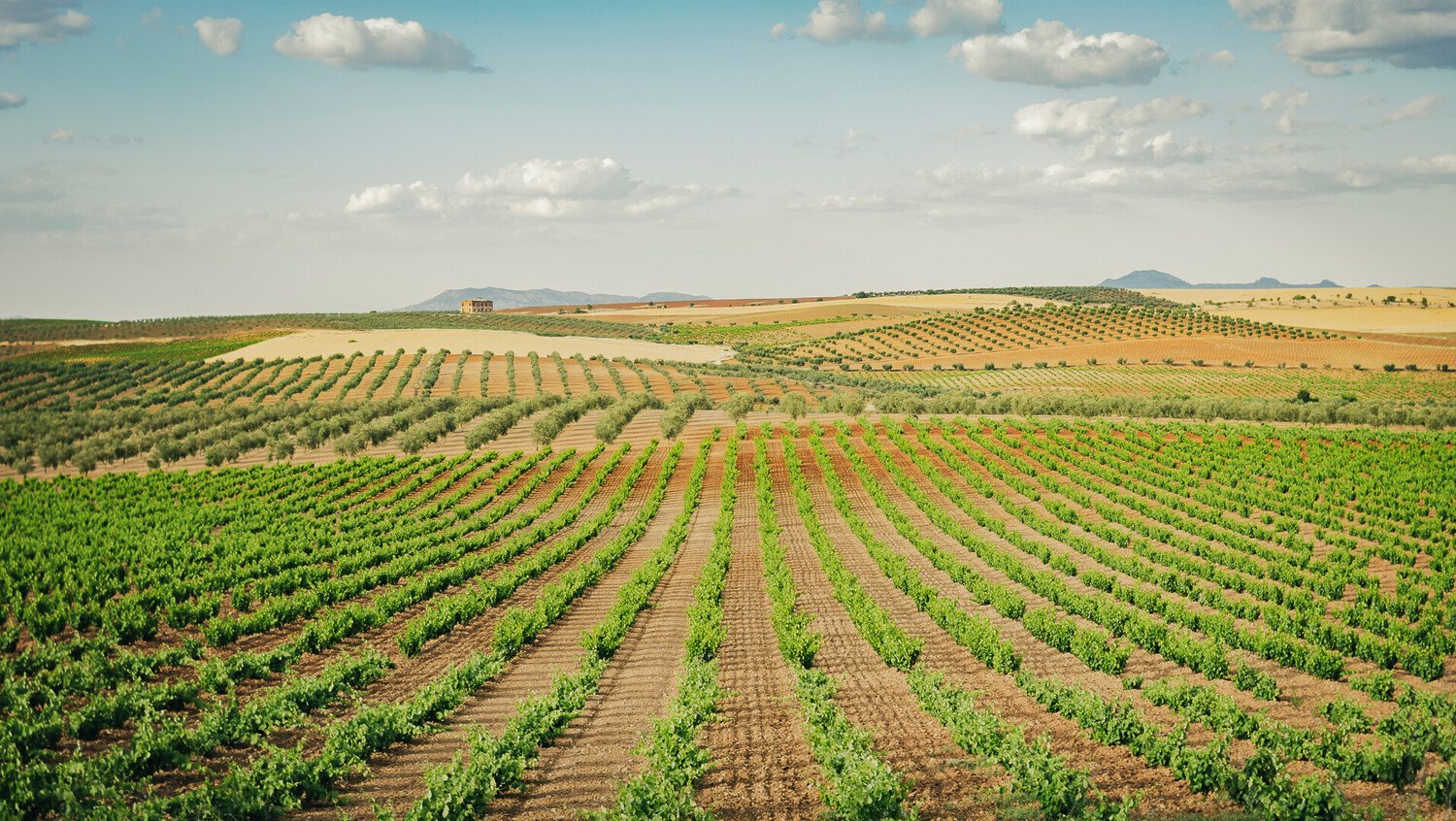 Discover the Best Reasons to Visit Badajoz in Spain - 2026 - 20 - visit badajoz visit badajoz - Discover the Best Reasons to Visit Badajoz in Spain - 2026 - 19