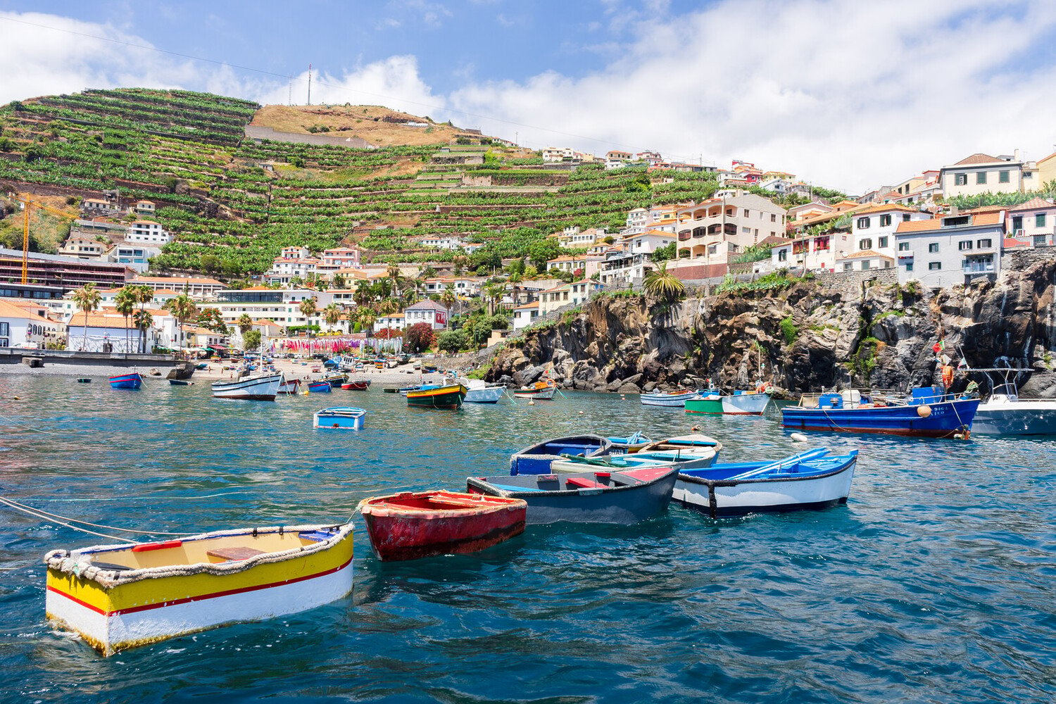 Visiter Câmara de Lobos : port de pêche, poncha et carte postale vivante - 2026 - 4 - Câmara de Lobos Câmara de Lobos - Visiter Câmara de Lobos : port de pêche, poncha et carte postale vivante - 2026 - 3