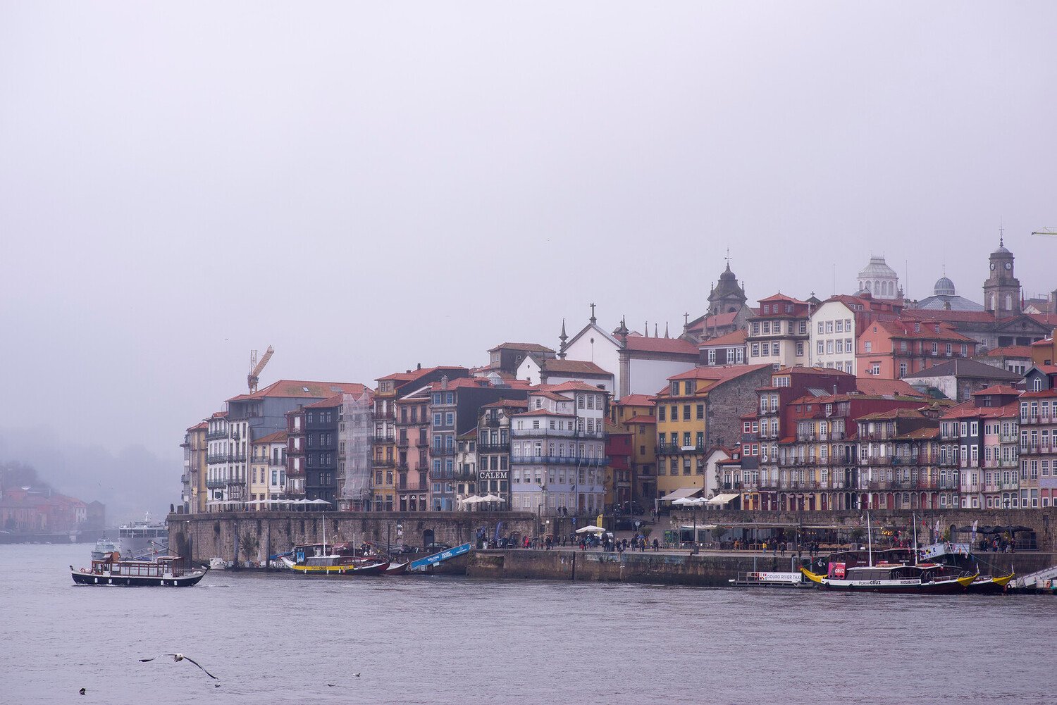 Que faire à Porto quand il pleut ? 10 idées pour profiter malgré la météo - 2026 - 2 - porto porto - Que faire à Porto quand il pleut ? 10 idées pour profiter malgré la météo - 2026 - 1
