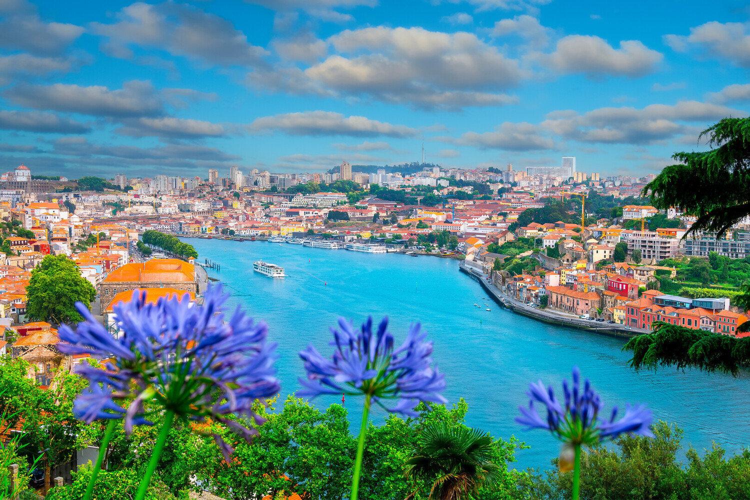 Quand partir à Porto ? La meilleure période pour visiter la ville - 2026 - 4 - porto porto - Quand partir à Porto ? La meilleure période pour visiter la ville - 2026 - 3