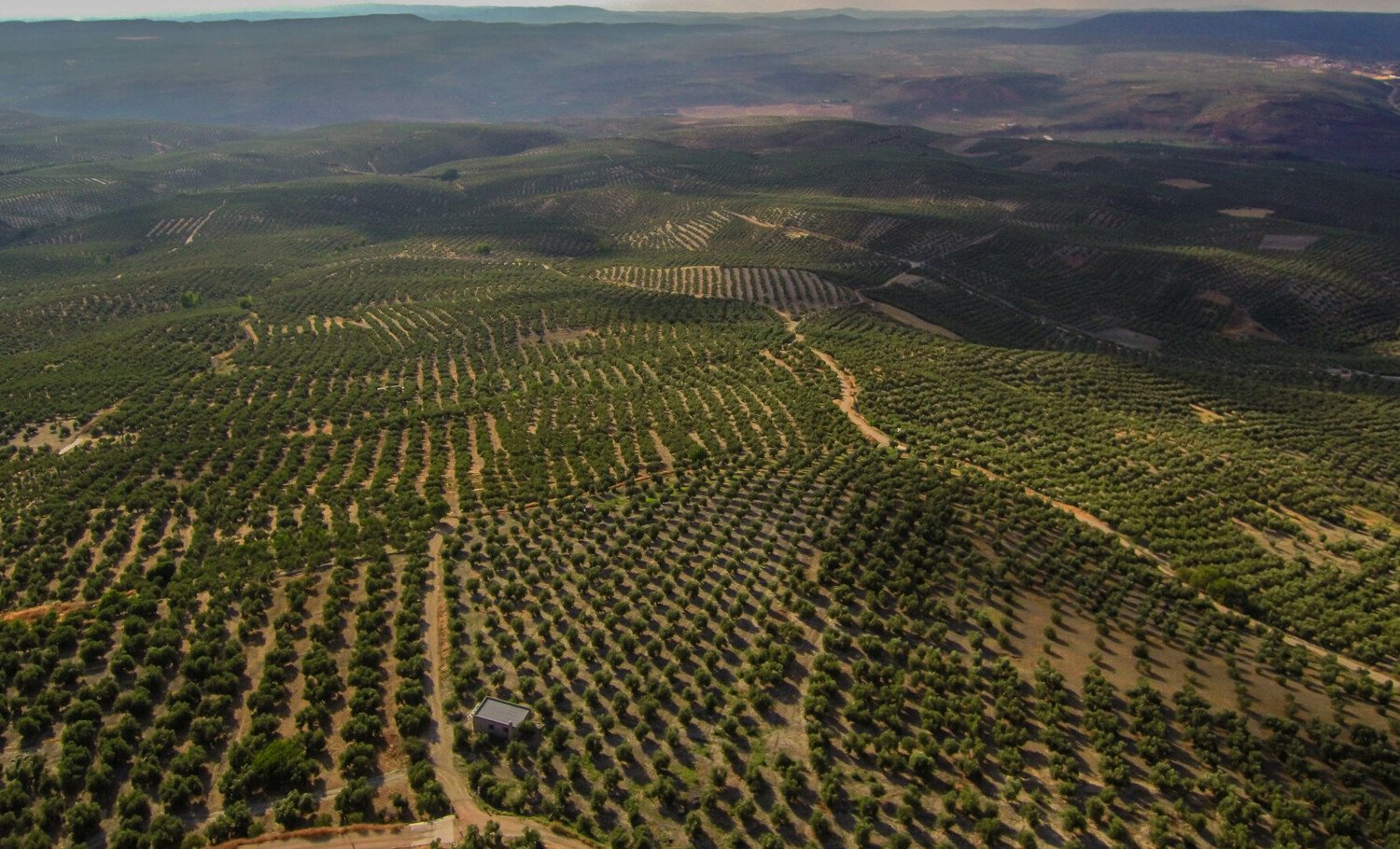 Visiter Cadix, Andalousie : l’essentiel à découvrir selon vos envies - 2026 - 26 - Cadix Cadix - Visiter Cadix, Andalousie : l’essentiel à découvrir selon vos envies - 2026 - 25